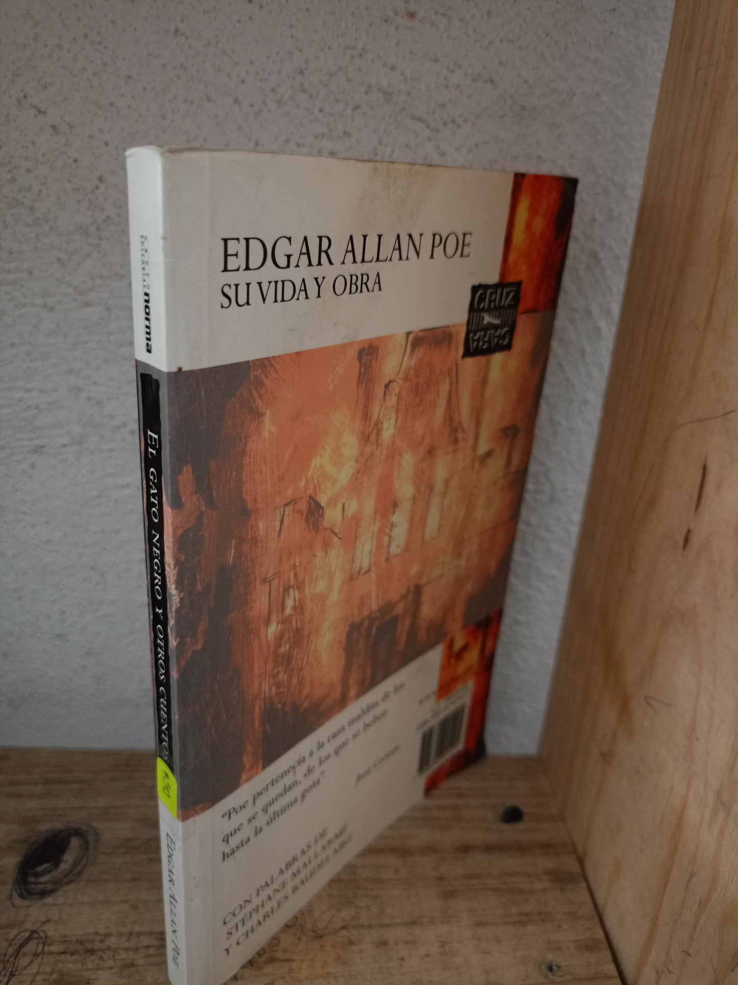 EL GATO NEGRO Y OTROS CUENTOS POR EDGAR ALLAN POE USADO NOVELA LITERARIO 305
