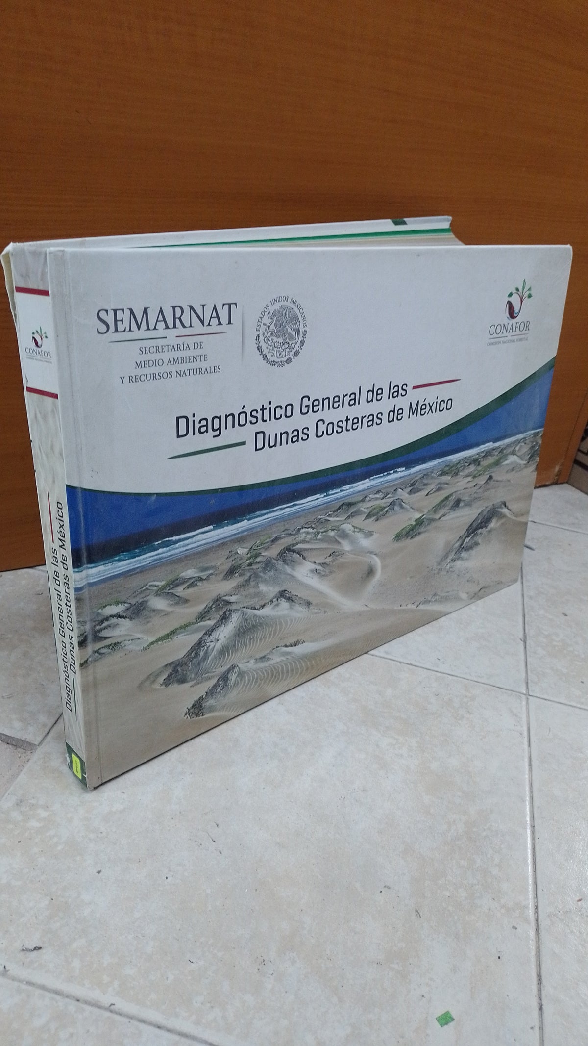 DIAGNOSTICO GENERAL DE LAS DUNAS COSTERAS DE MEXICO POR SEMARNAT USADO ARTE JUAREZ 515