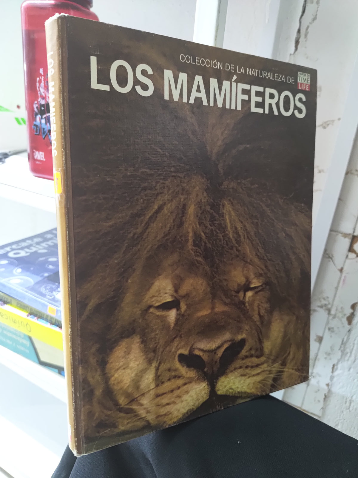 LOS MAMIFEROS POR EDITORIAL CULTURALES INTERNACIONALES USADO BIOLOGIA JUAREZ 515