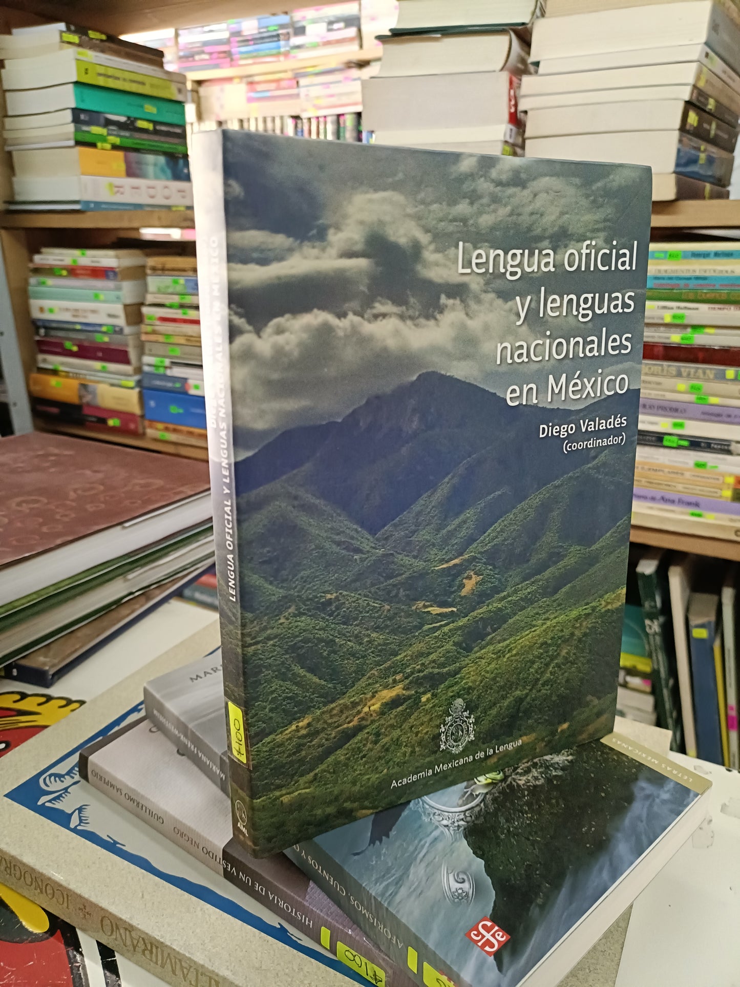 LENGUA OFICIAL Y LENGUAS NACIONALES EN MÉXICO COORDINADO POR DIEGO VALADÉS USADO HISTORIA LITERARIO 207