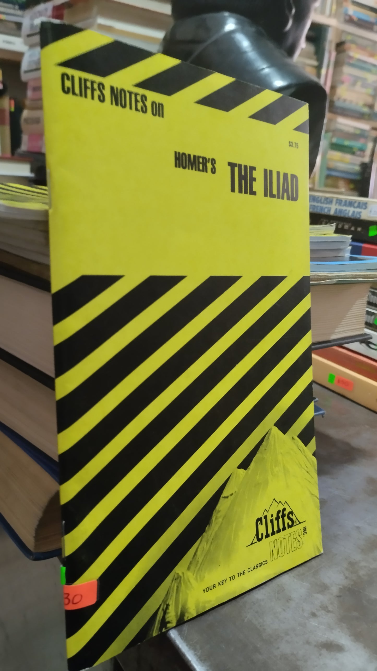 CLIFFS NOTES ON HOMERS THE ILIAD LIBRO USADO IDIOMAS ALDAMA