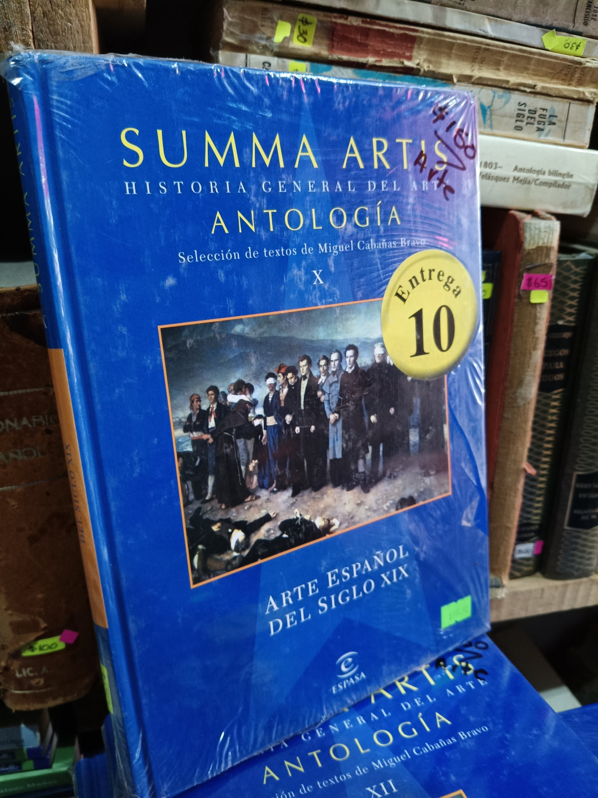 ARTE ESPAÑOL DEL SIGLO XIX SUMMA ARTIS ANTOLOGIA USADO ARTE LITERARIO 305