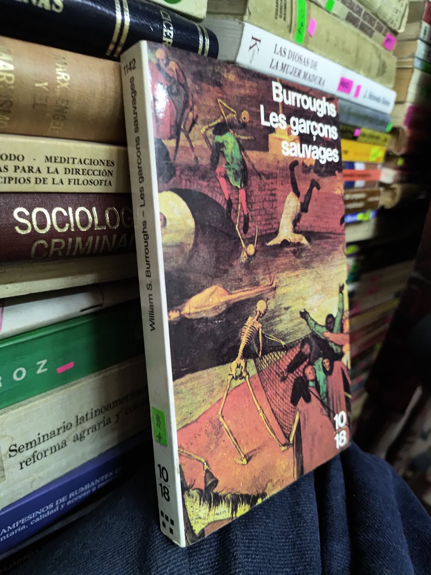 LES GARCONS SAUVAGES POR WILLIAM S. BURROUGHS USADO IDIOMAS LITERARIO 207