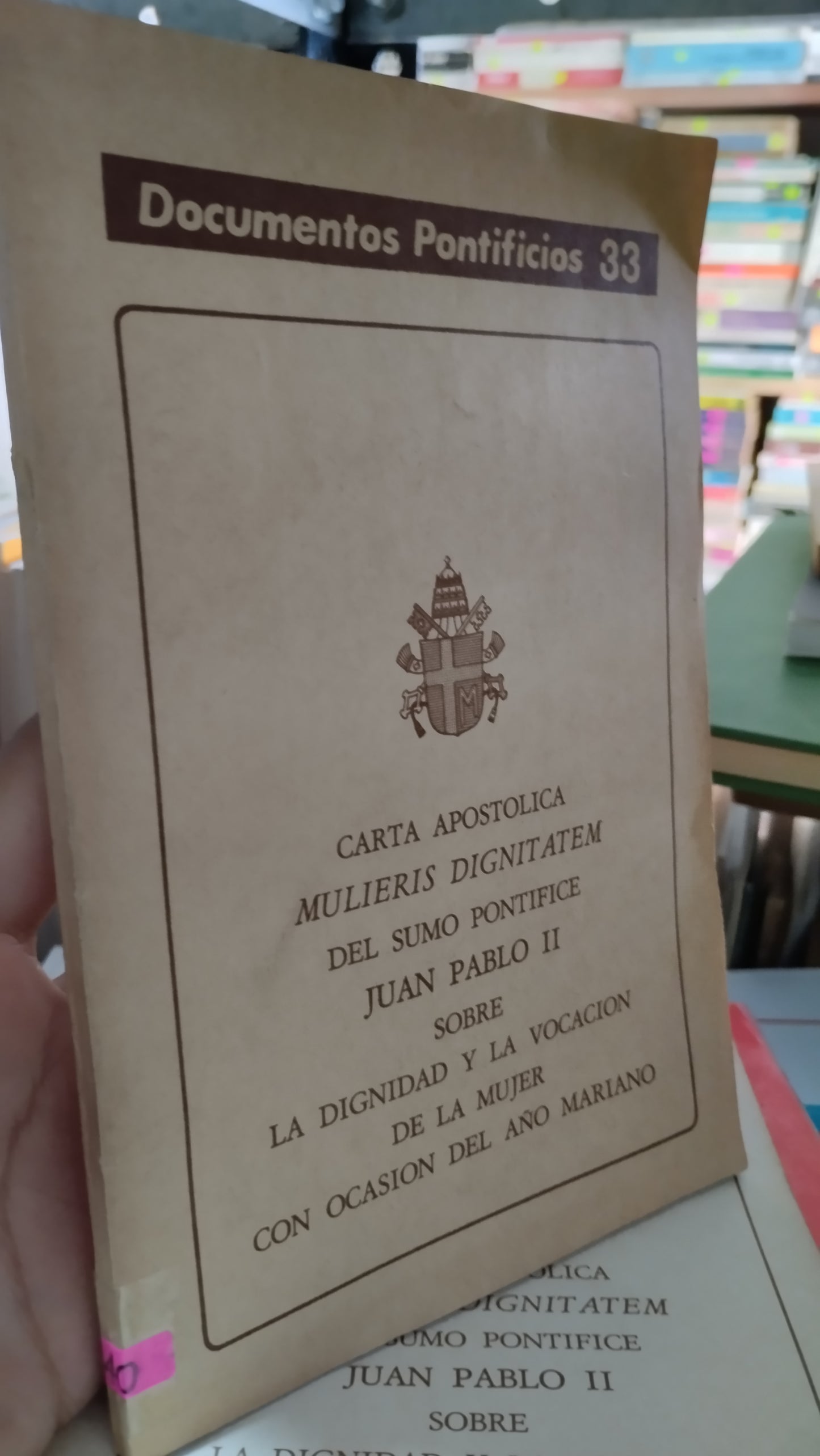 CARTA APOSTOLICA 33 LIBRO USADO RELIGION ALDAMA