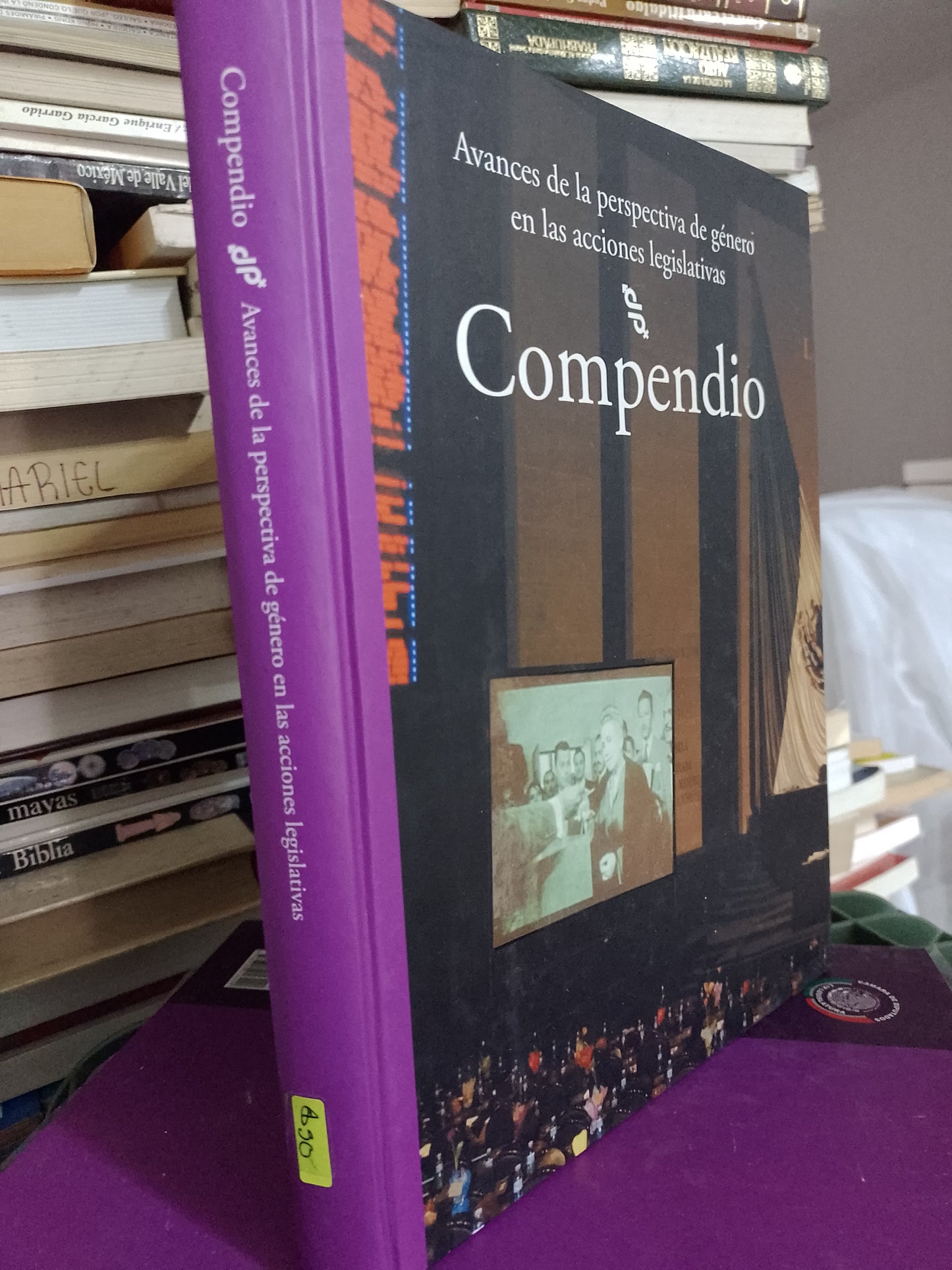 COMPENDIO AVANCES DE LA PERSPECTIVA DE GENERO EN LAS ACCIONES LEGISLATIVAS POR VARIOS AUTORES USADO DERECHO JUAREZ 515