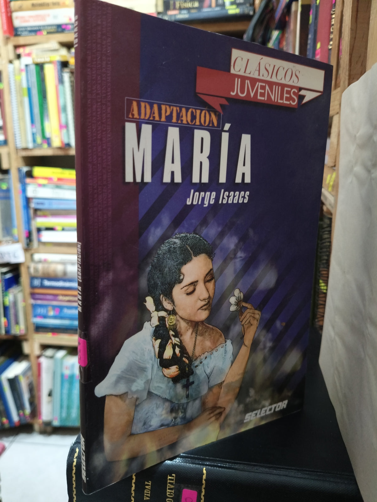 ADAPTACION MARIA JORGE ISAAC USADO NOVELA LITERARIO 305