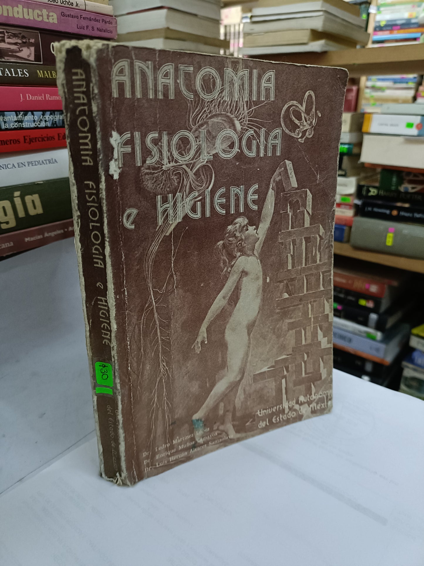 ANATOMIA FISIOLOGIA E HIGIENE POR DR PEDRO MARTINEZ USADO SALUD LITERARIO 207