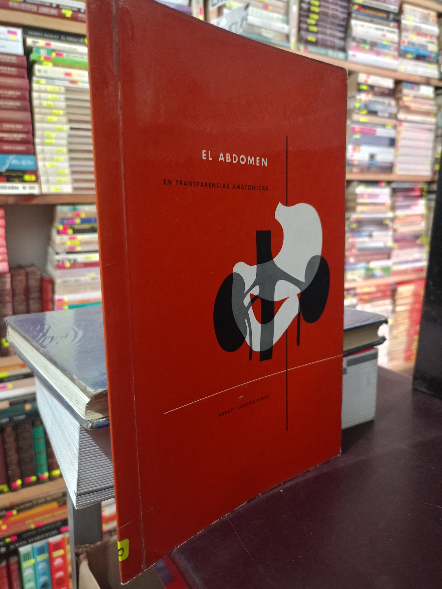 EL ABDOMEN USADO SALUD LITERARIO 305