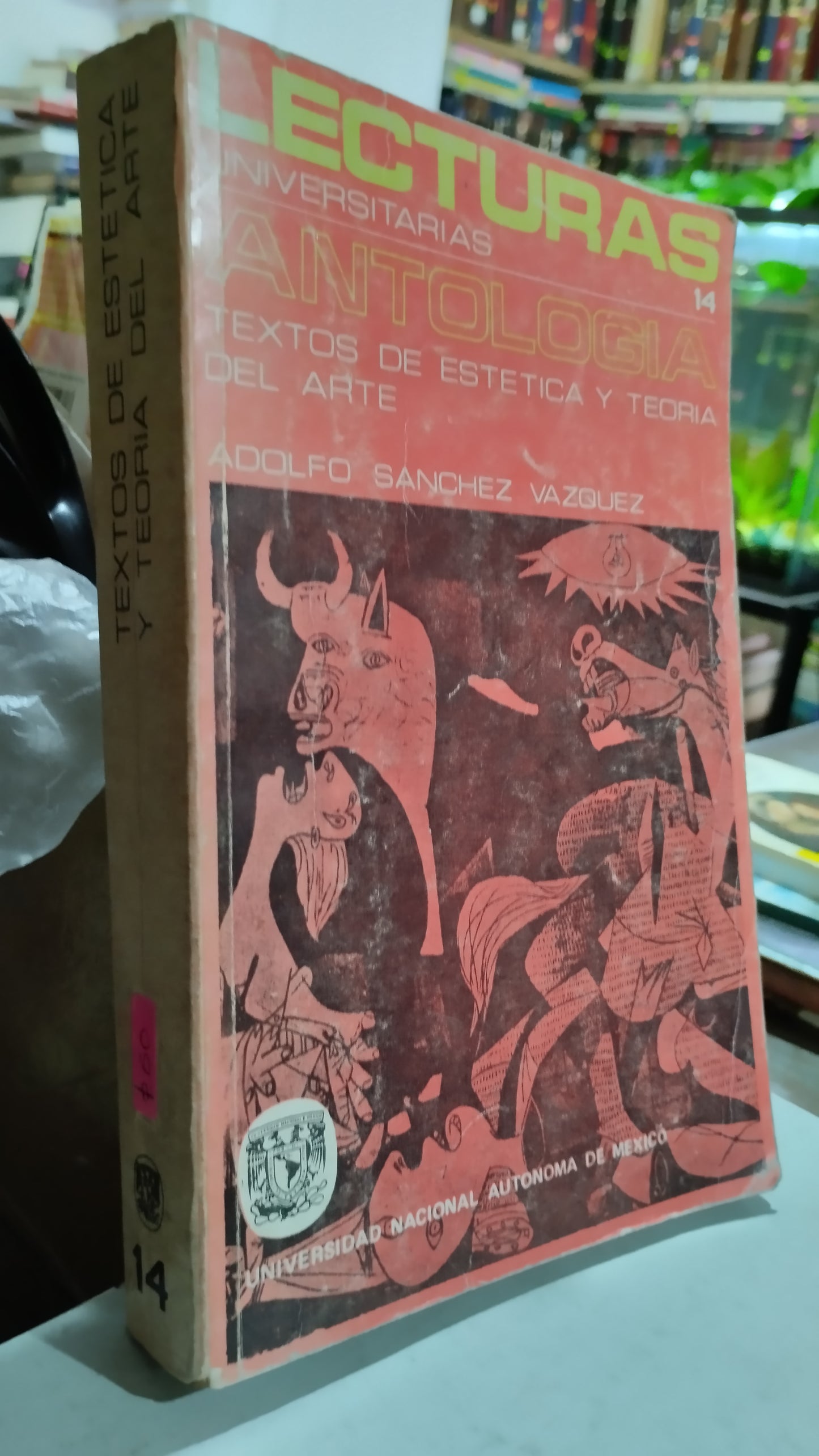 TEXTOS DE ESTETICA Y TEORIA DEL ARTE POR ADOLFO SANCHEZ VAZQUEZ LIBRO USADO ARTE ALDAMA