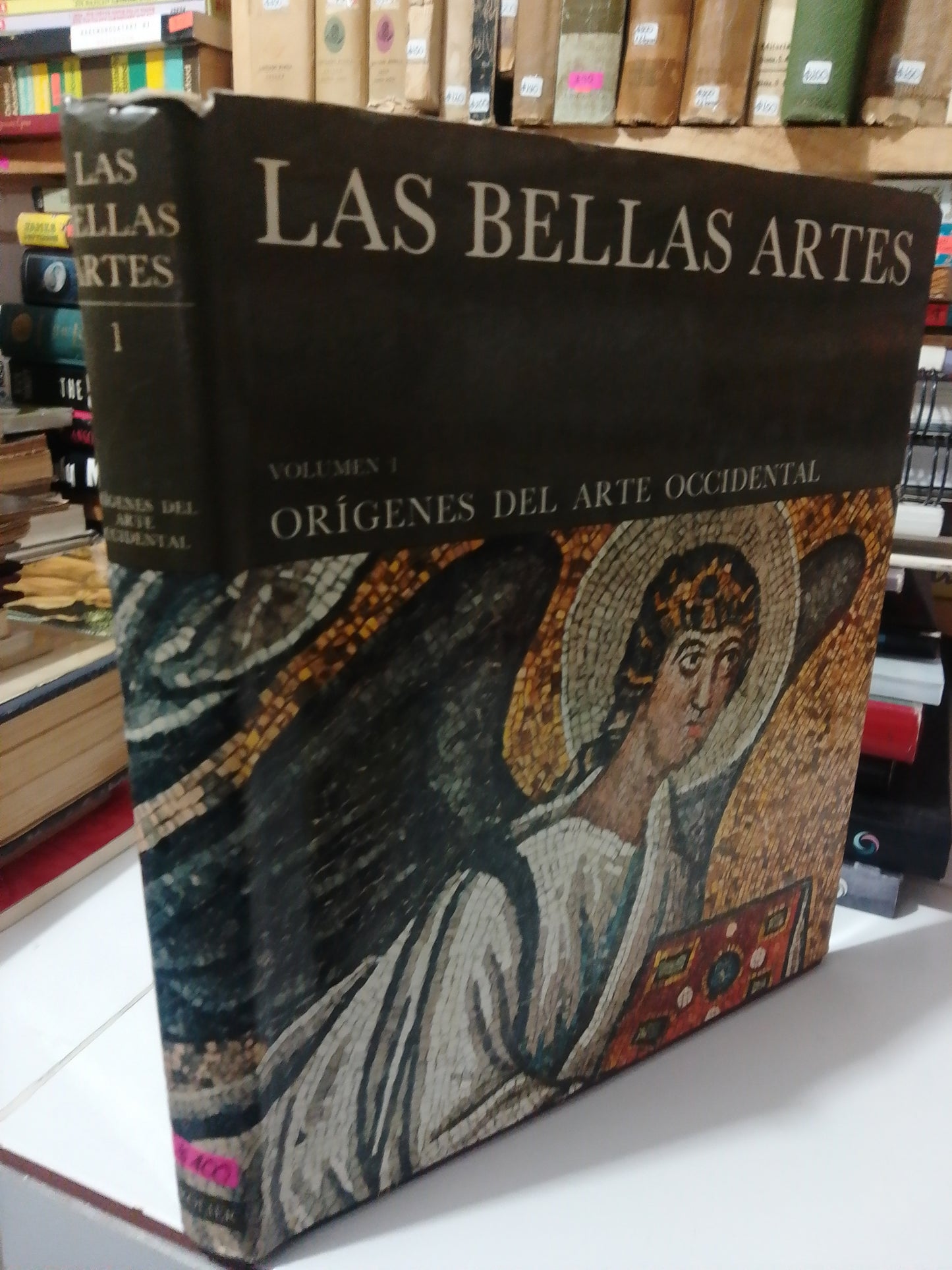 LAS BELLAS ARTES 1 ORIGENES DEL ARTE ACCIDENTAL USADO ARTE JUAREZ