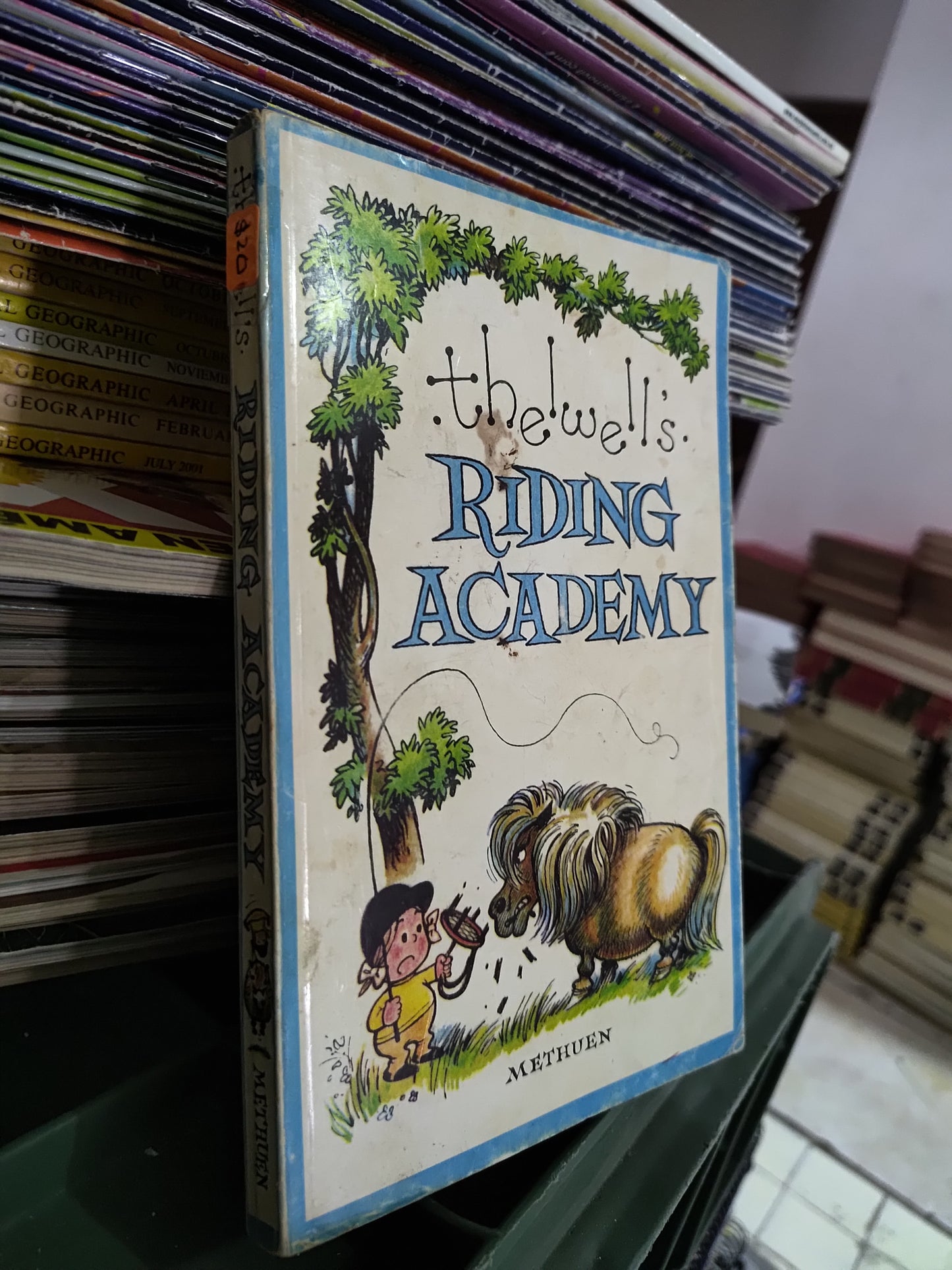 THE WELLS RIDDING ACADEMY POR EDITORIAL METHUEN USADO IDIOMAS JUAREZ 515