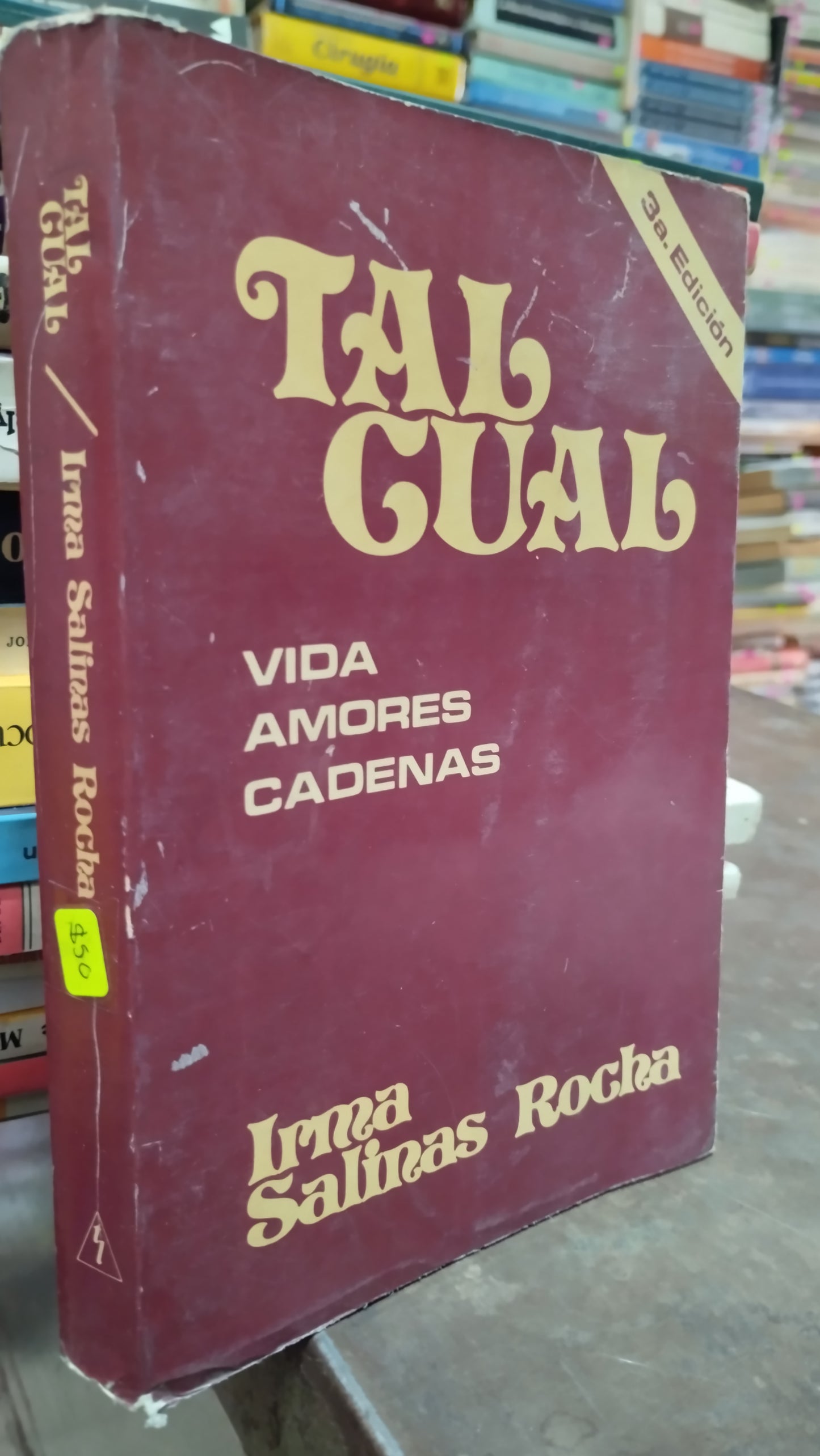 TAL CUAL POR IRMA SALINAS ROCHA LIBRO USADO NOVELAS ALDAMA
