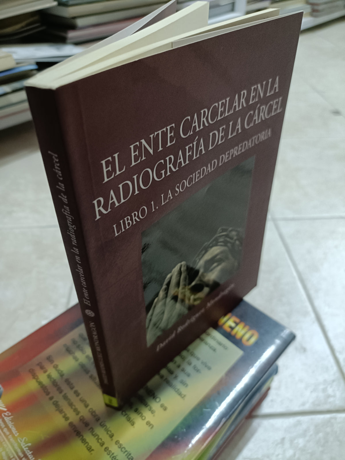 EL ENTE CARCELAR EN LA RADIOGRAFIA DE LA CARCEL LIBRO I LA SOCIEDAD DEPREDATORIA POR DAVID RODRIGUEZ MONDRAGON USADO SOCIOLOGIA JUAREZ 515