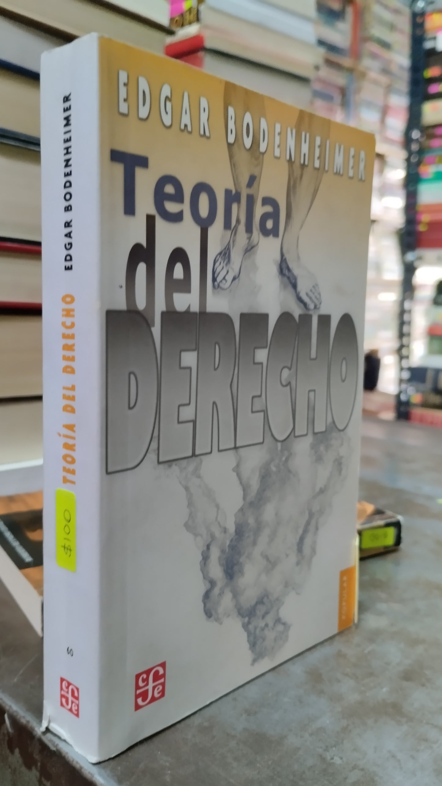 TEORIA DEL ESTADO POR EDGAR BODENHEIMER LIBRO USADO DERECHO ALDAMA