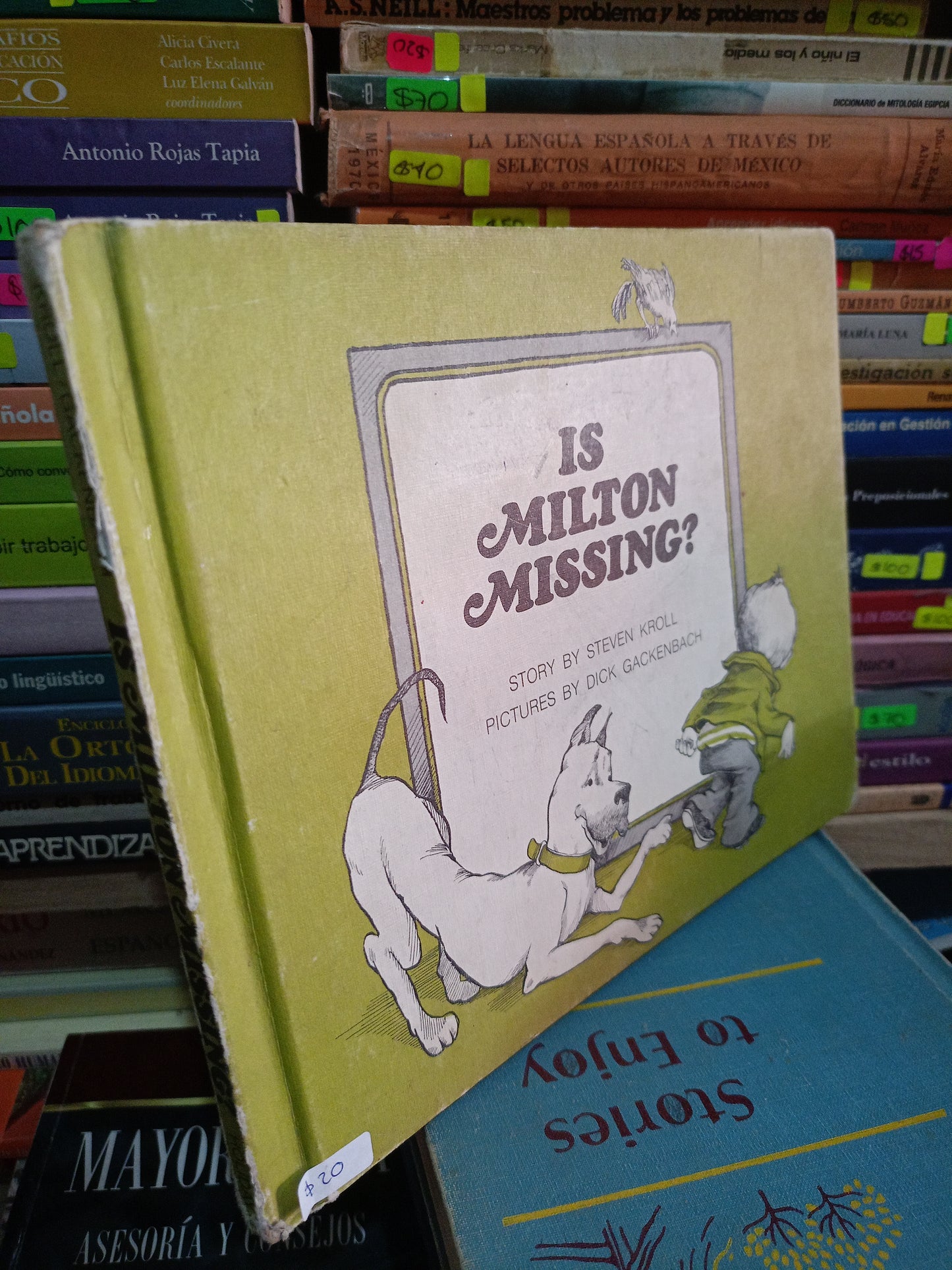 IS MILTON MISSING USADO IDIOMAS LITERARIO 305