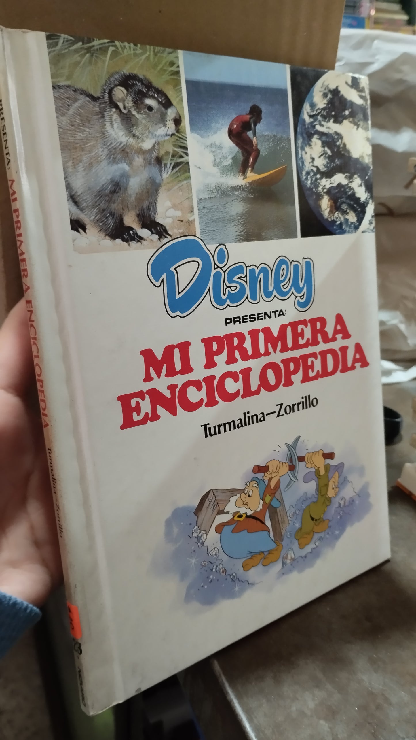 MI PRIMERA ENCICLOPEDIA TURMALINA ZORRILLO LIBRO USADO INFANTIL ALDAMA