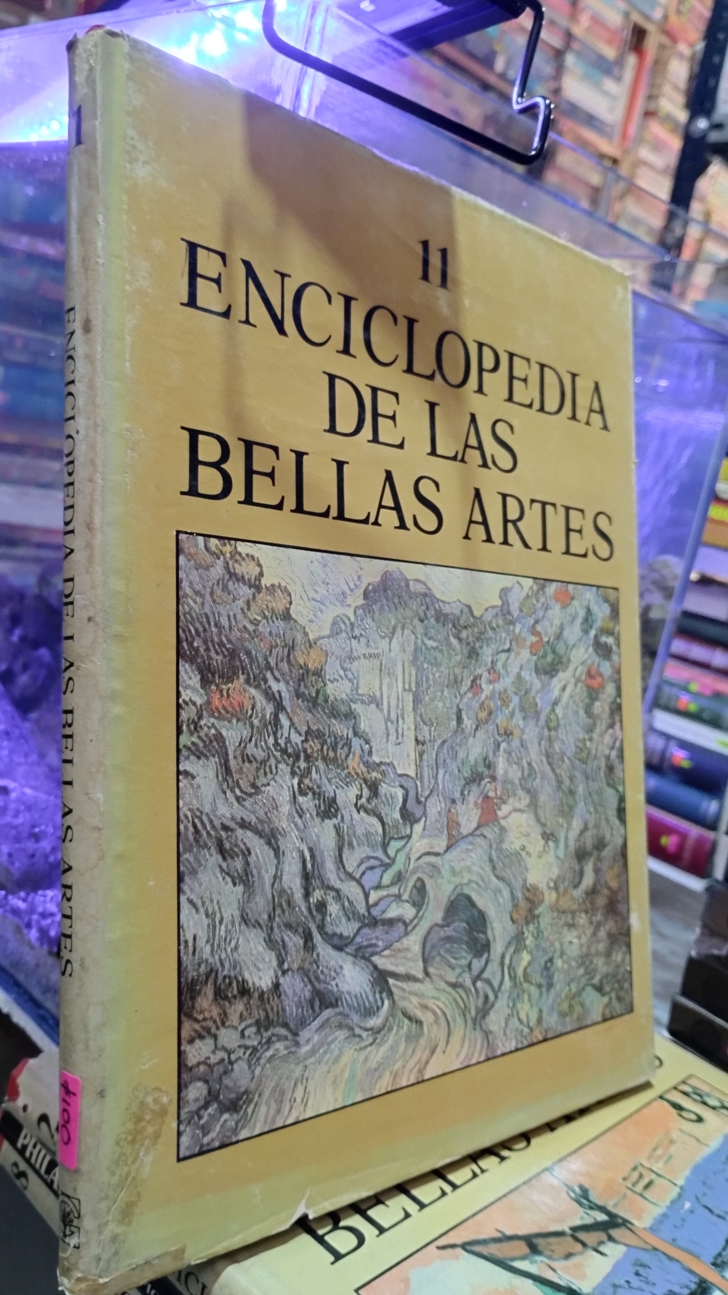ENCICLOPEDIA DE LAS BELLAS ARTES 11 LIBRO USADO ARTE ALDAMA