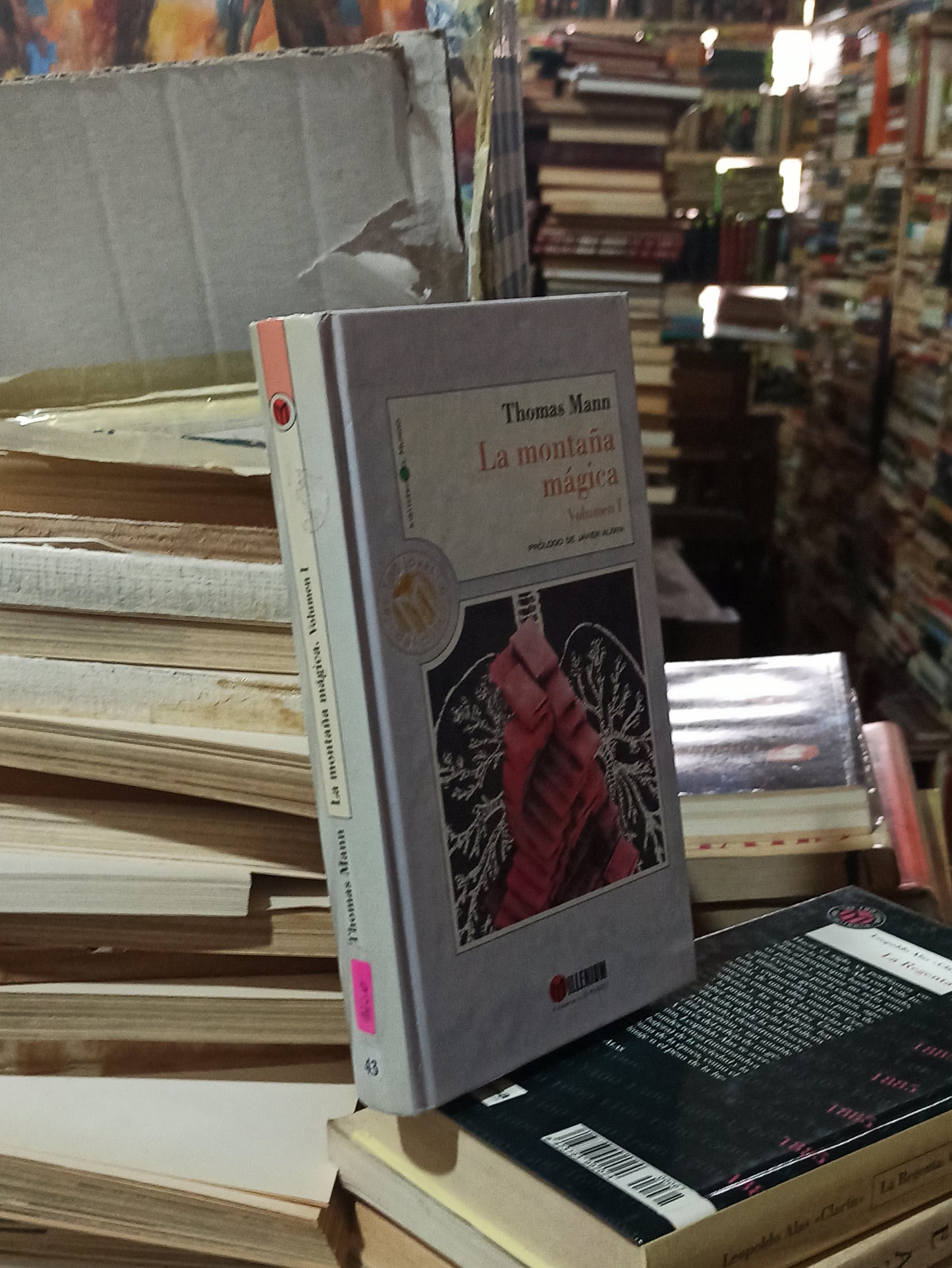 LA MONTAÑA MAGICA VOLUMEN 1 POR THOMAS MANN USADO NOVELAS ALDAMA