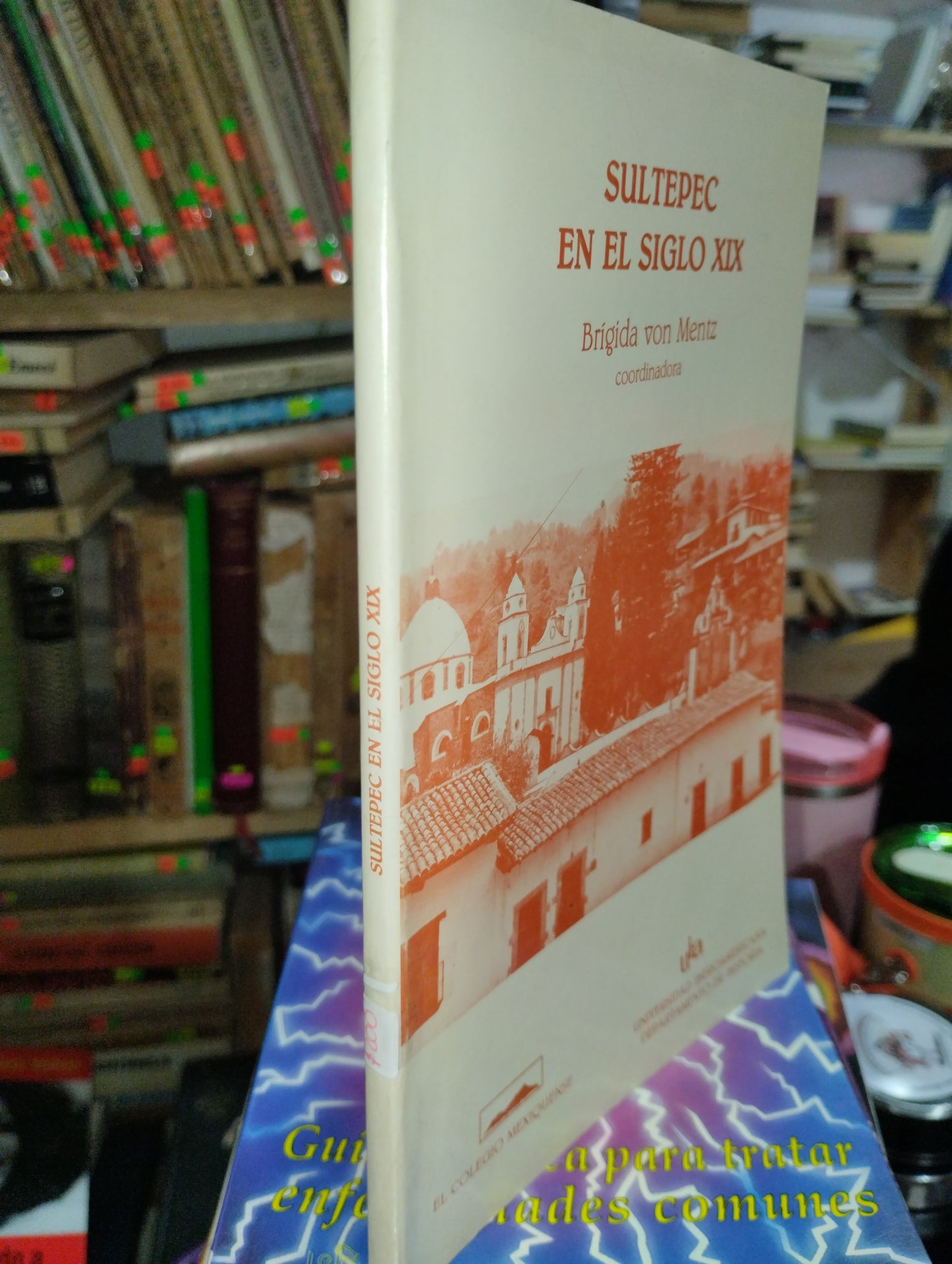 SULTEPEC EN EL SIGLO XIX POR BRIGIDA VON MENTZ USADO HISTORIA ALDAMA