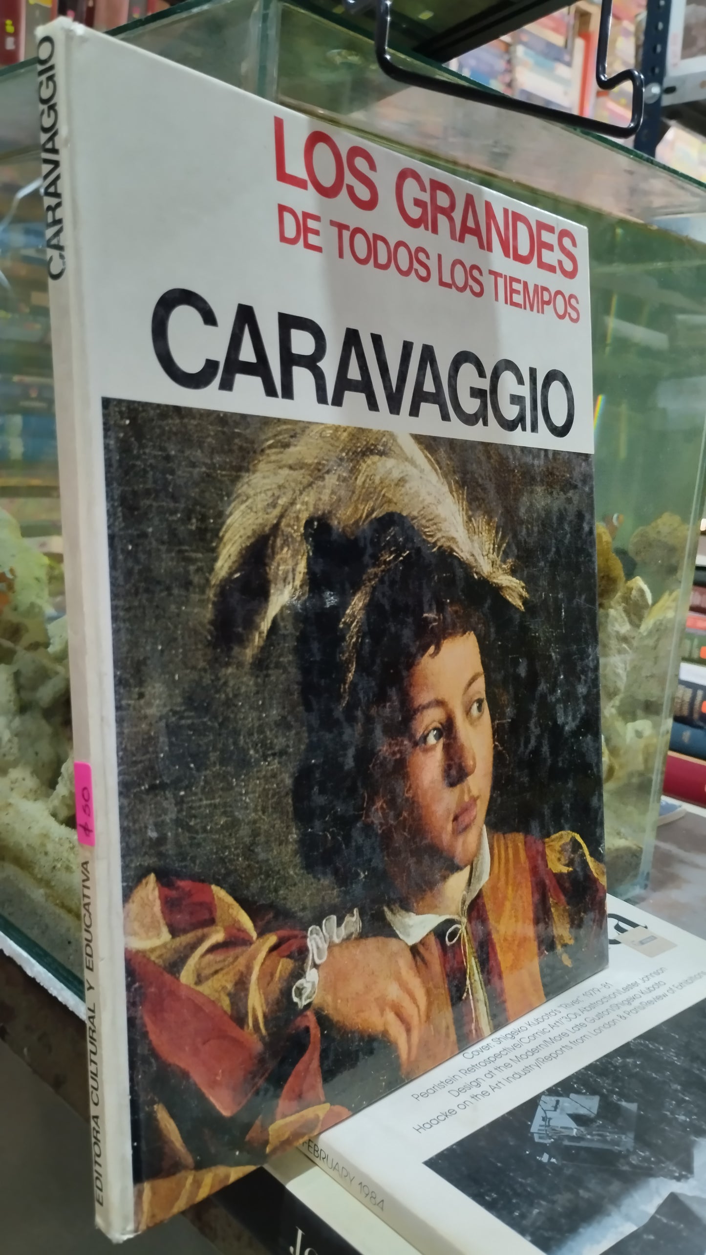 CARAVAGGIO LIBRO USADO ARTE ALDAMA