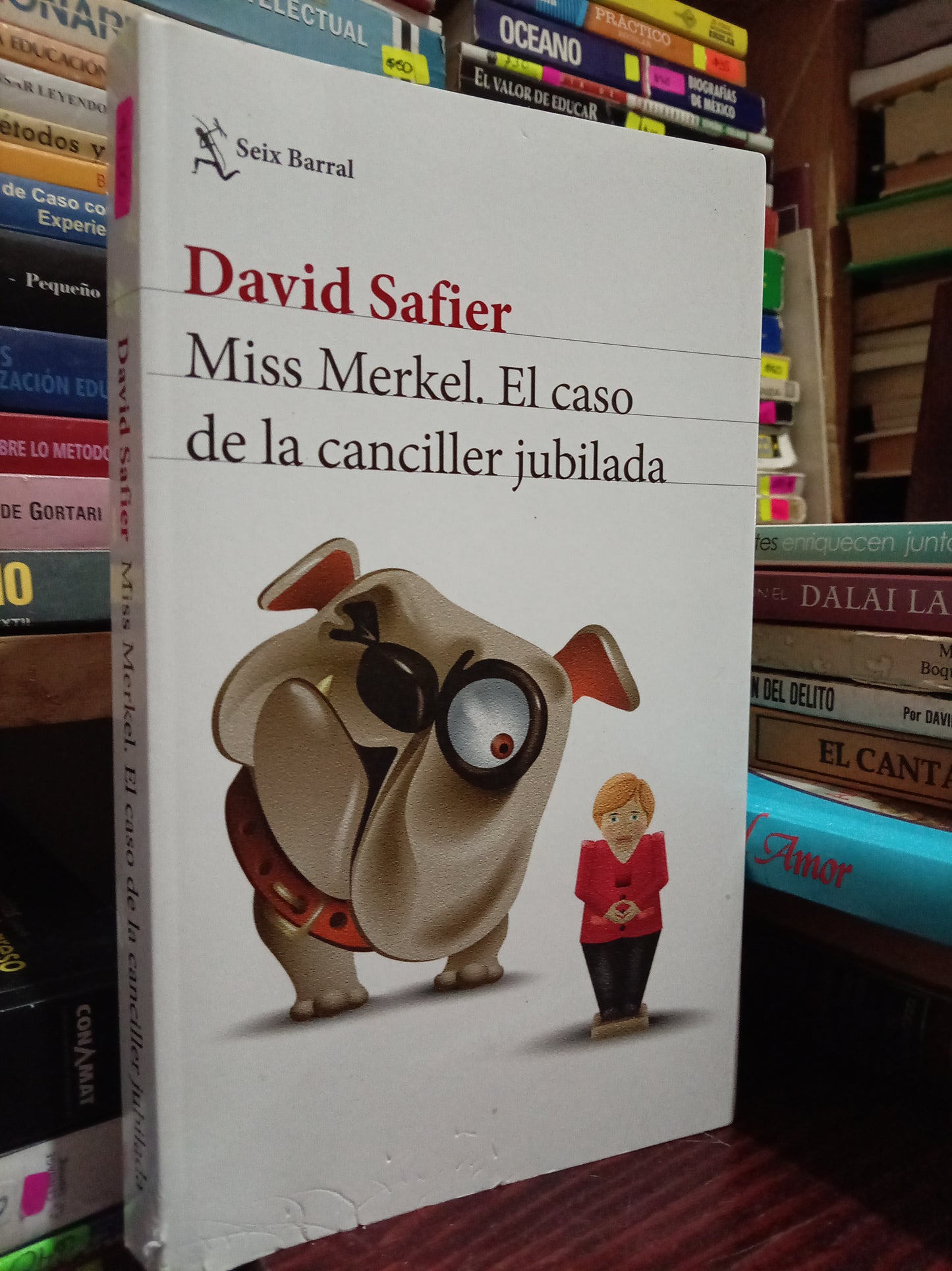 MISS MERKEL EL CASO DE LA CANCILLER JUBILADA USADO NOVELA LITERARIO 305