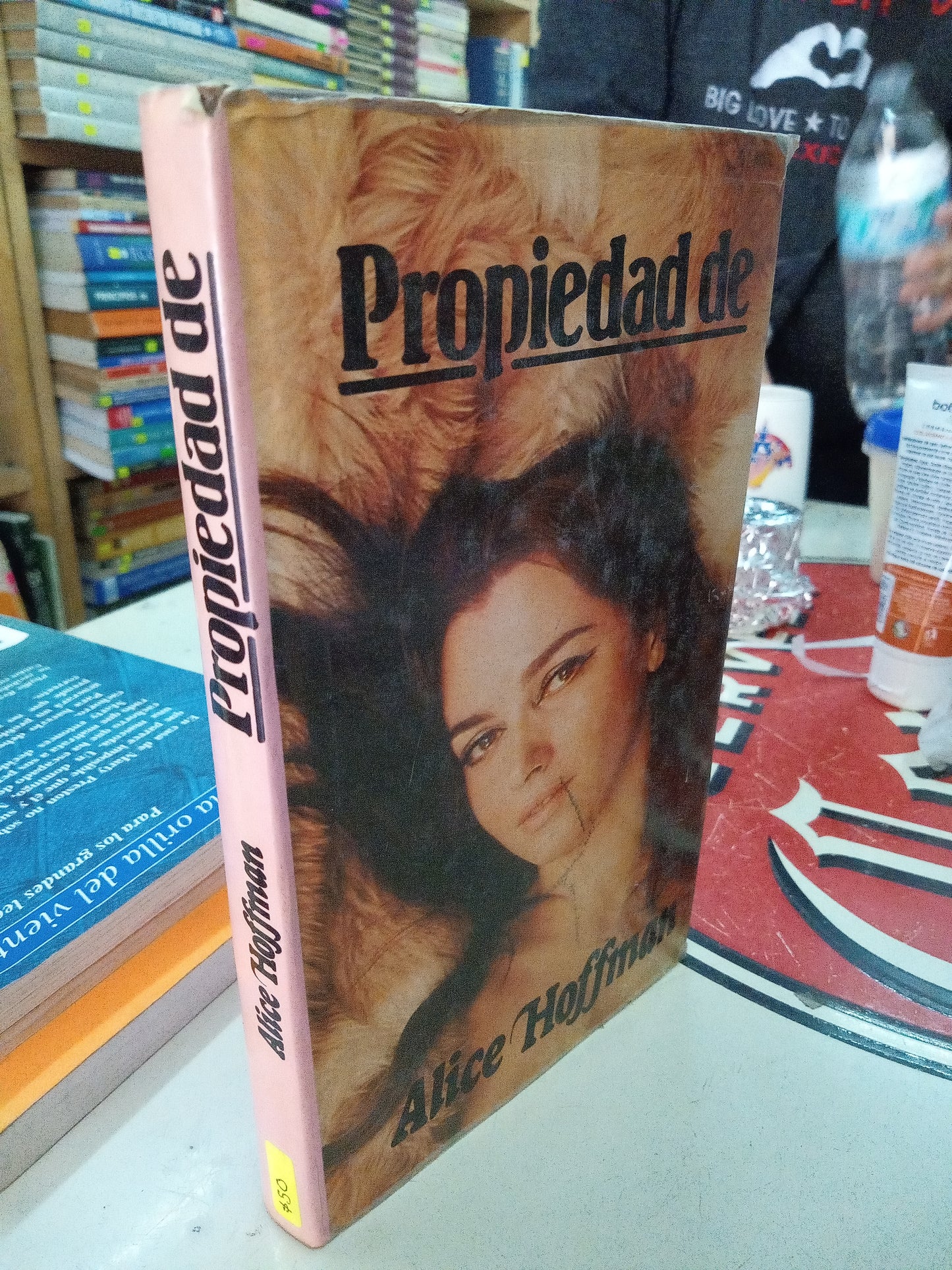 PROPIEDAD DE POR ALICE HOFFIMAN USADO NOVELA LITERARIO 207