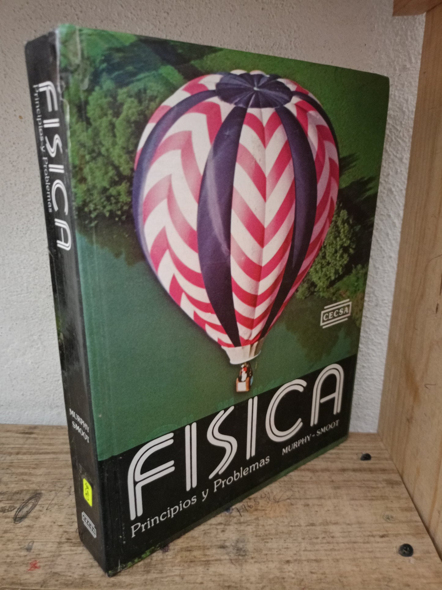 FISICA PRINCIPIOS Y PROBLEMAS POR MURPHY SMOOT USADO FISICA LITERARIO 305