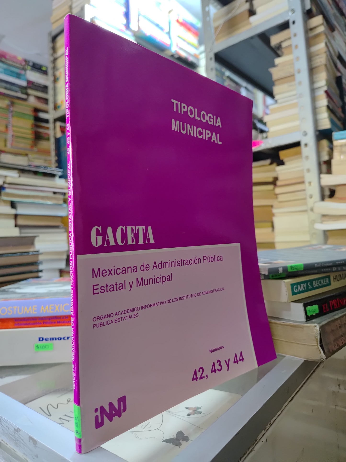 TIPOLOGIA MUNICIPAL POR EDITORIAL INAP USADO POLITICA JUAREZ