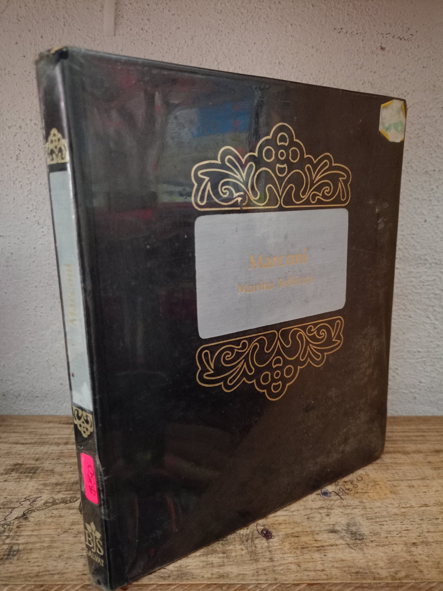 MARCONI MARINA SUBIRATS USADO NOVELA LITERARIO 305