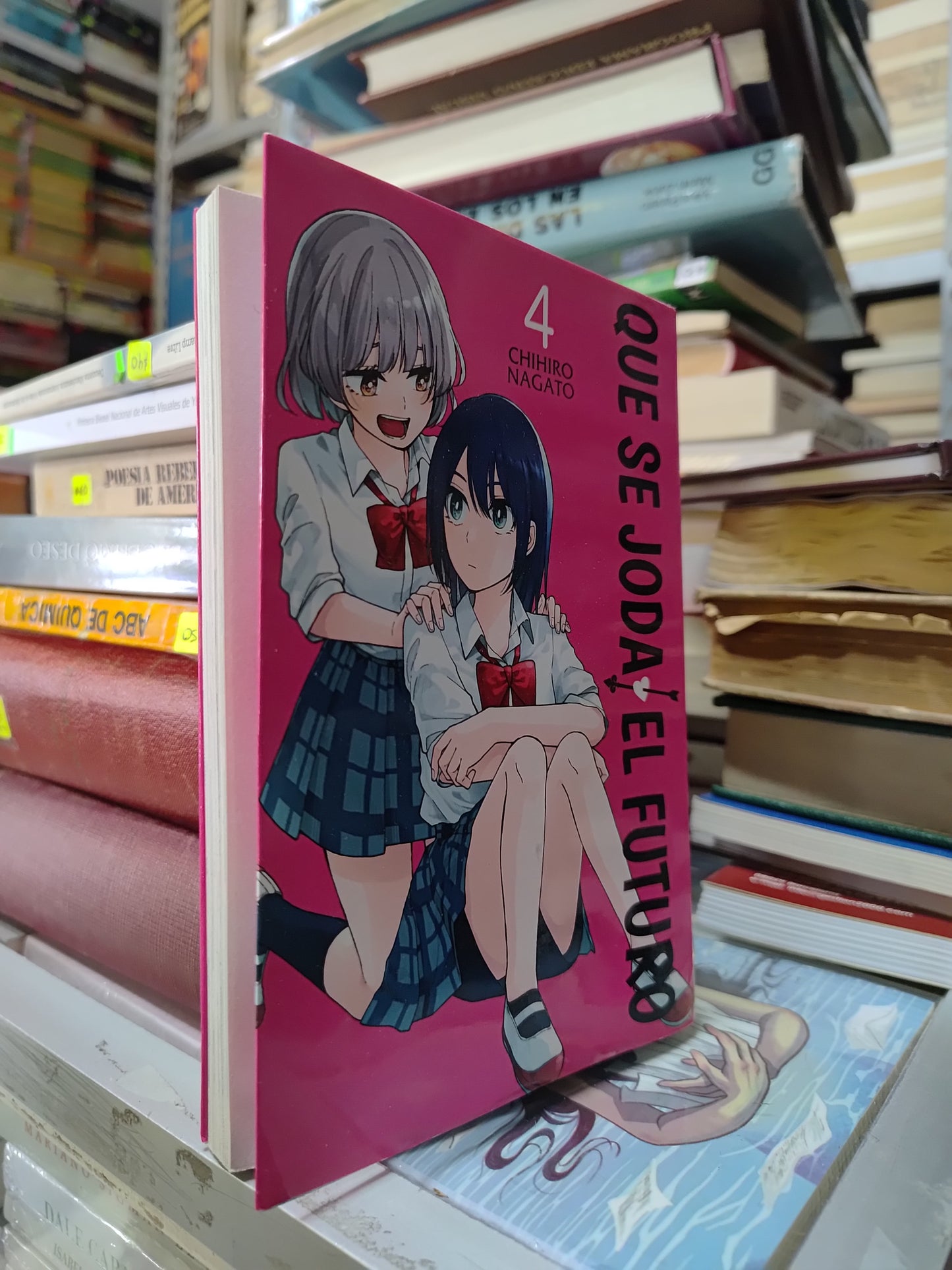 QUE SE JODA EL FUTURO 4 POR CHIHIRO NAGATO USADO NOVELAS JUAREZ 515
