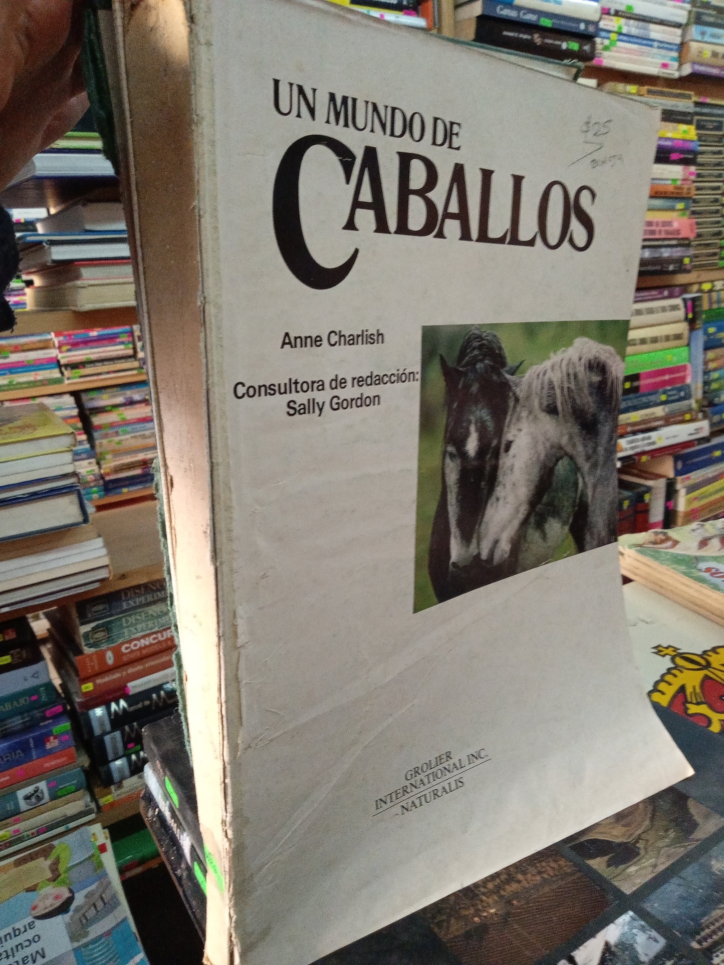 UN MUNDO DE CABALLOS POR ANNE CHARLISH USADO BIOLOGIA LITERARIO 207