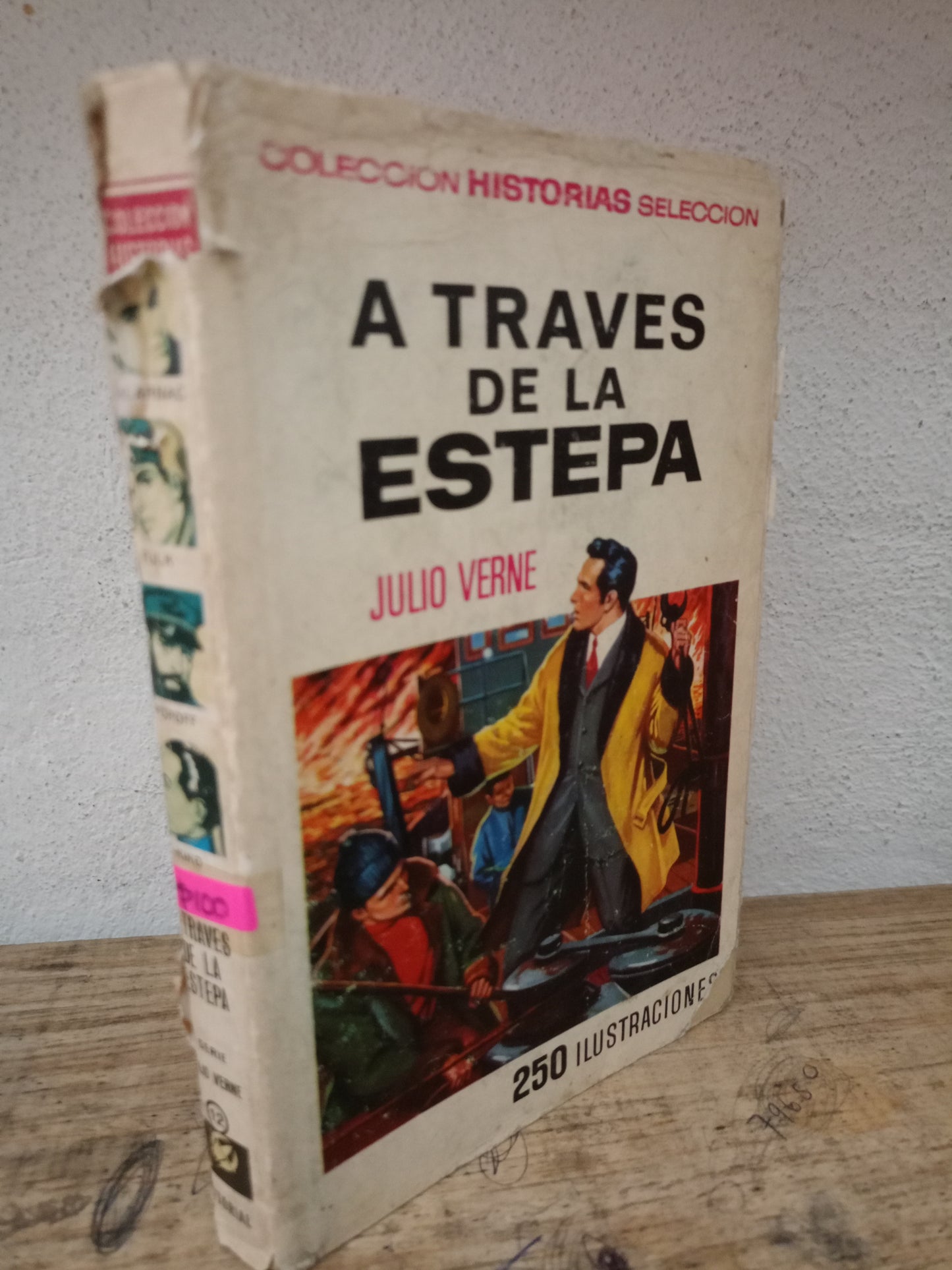 A TRAVES DE LA ESTEPA JULIO VERNE USADO NOVELA LITERARIO 305