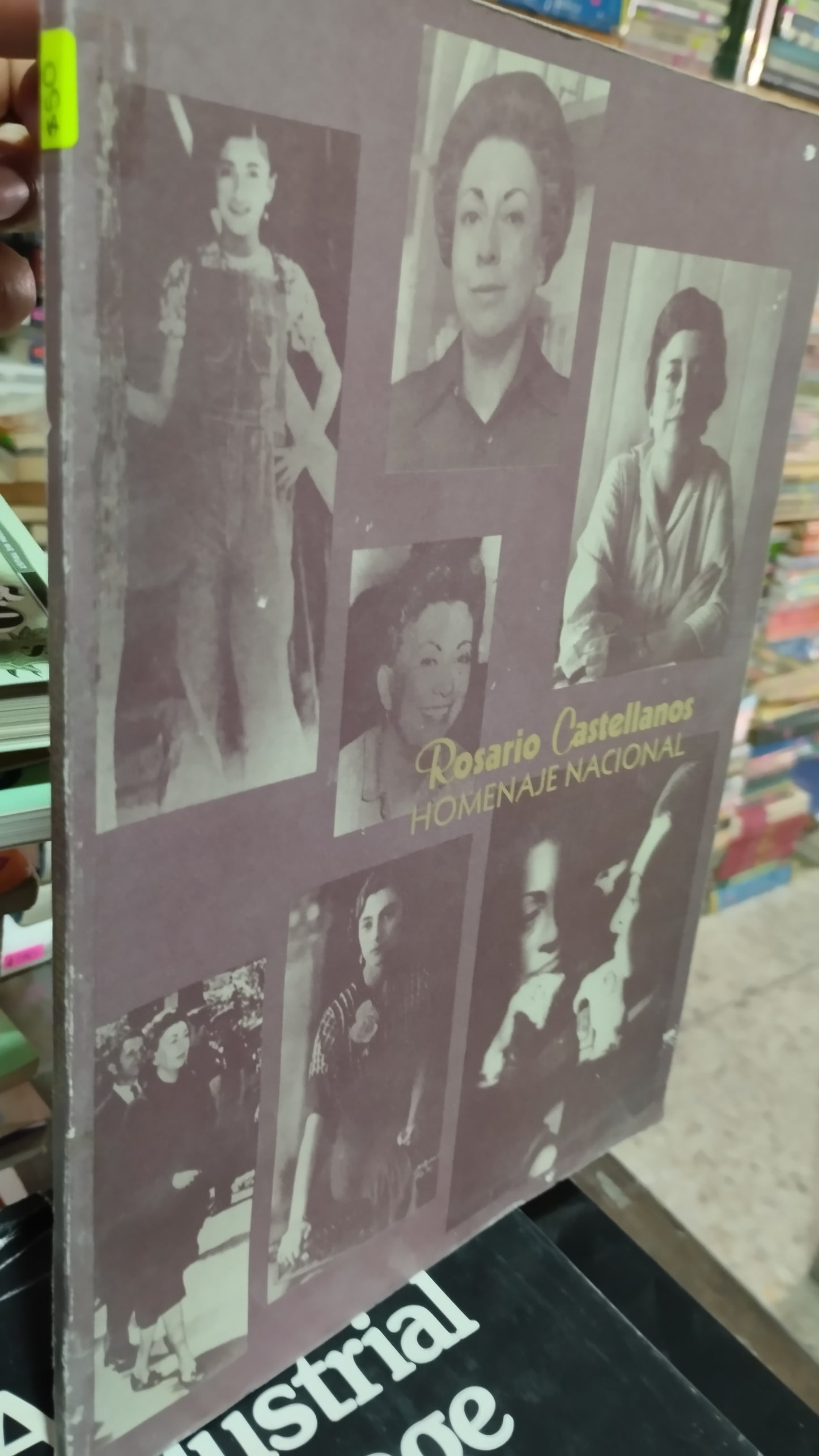 ROSARIO CASTELLANOS HOMENAJE NACIONAL LIBRO USADO HISTORIA ALDAMA