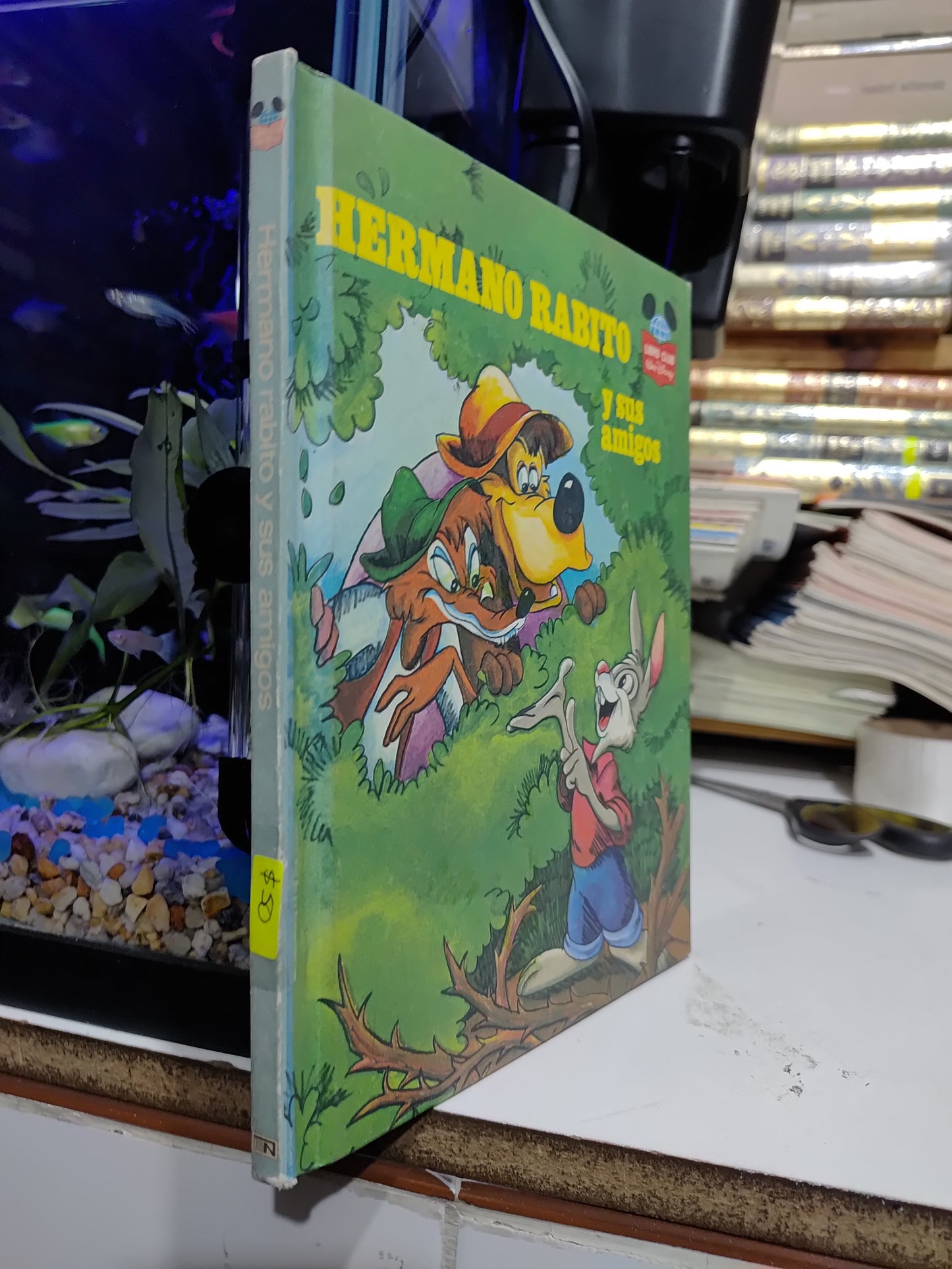 HERMANO RABITO Y SUS AMIGOS POR EDITORIAL NOVARO USADO INFANTILES JUAREZ