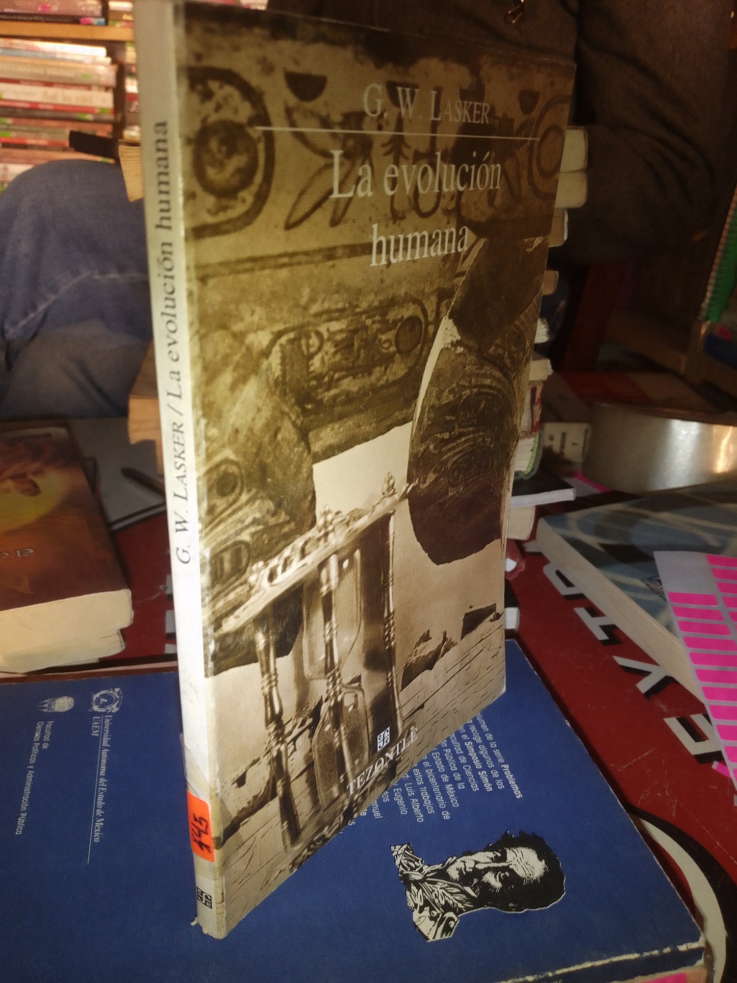 LA EVOLUCIÓN HUMANA POR G W LASKER USADO HISTORIA LITERARIO 207