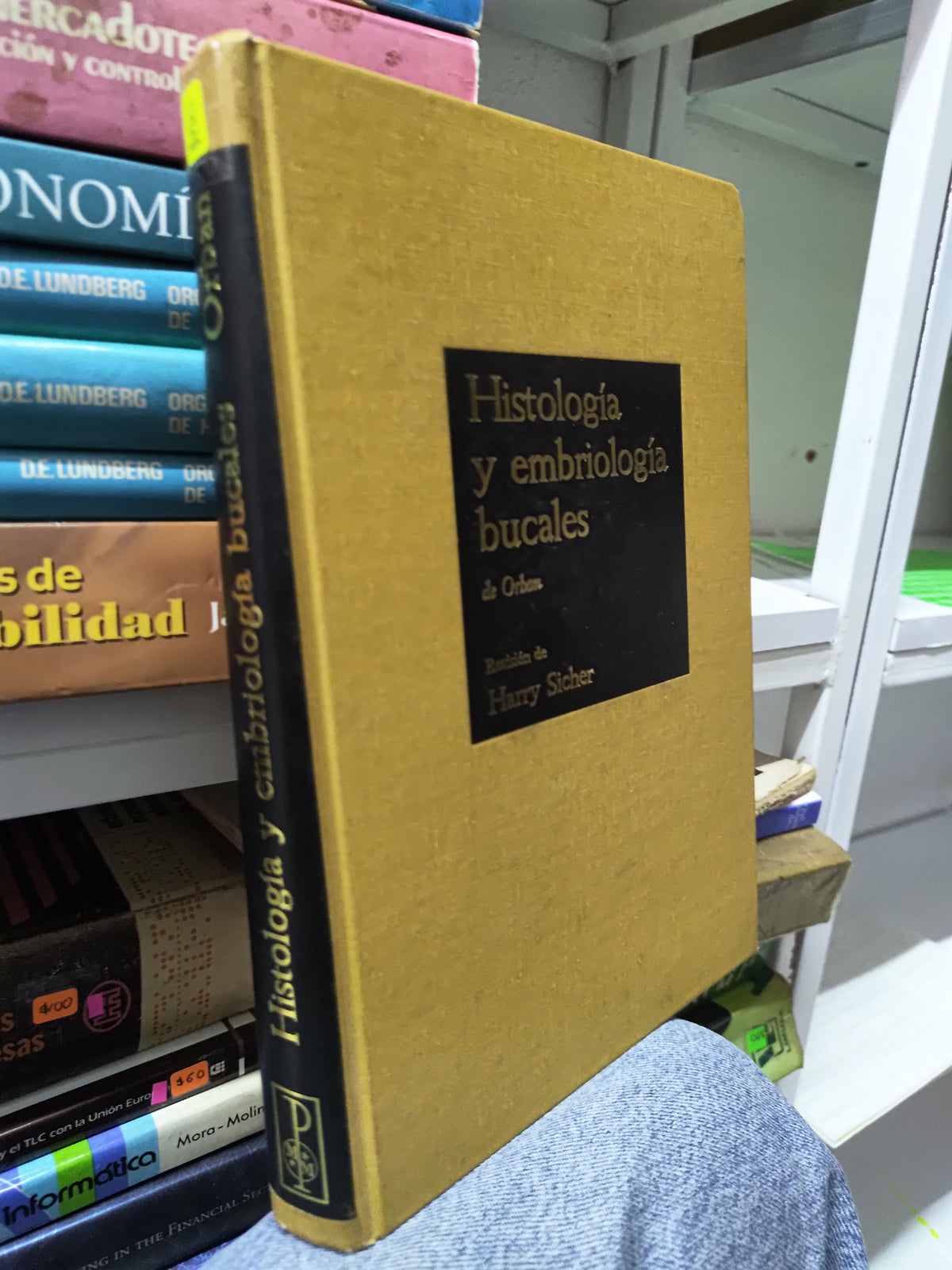 HISTOLOGIA Y EMBRIOLOGIA BUCALES POR HARRY SICHER USADO SALUD JUAREZ 515