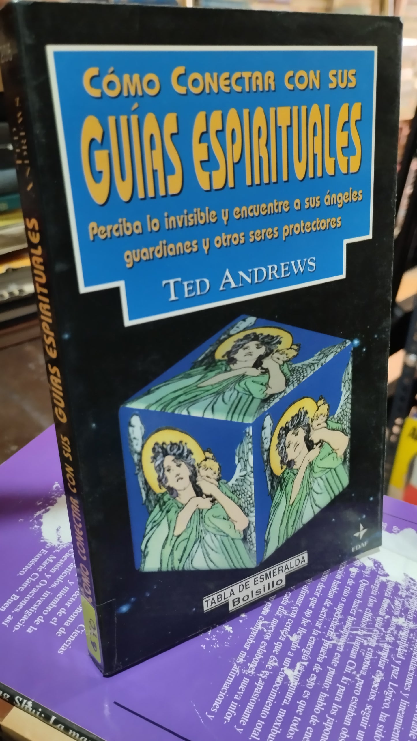 COMO CONECTAR CON SUS GUIAS ESPIRITUALES POR TED ANDREWS LIBRO USADO ESOTERISMO ALDAMA