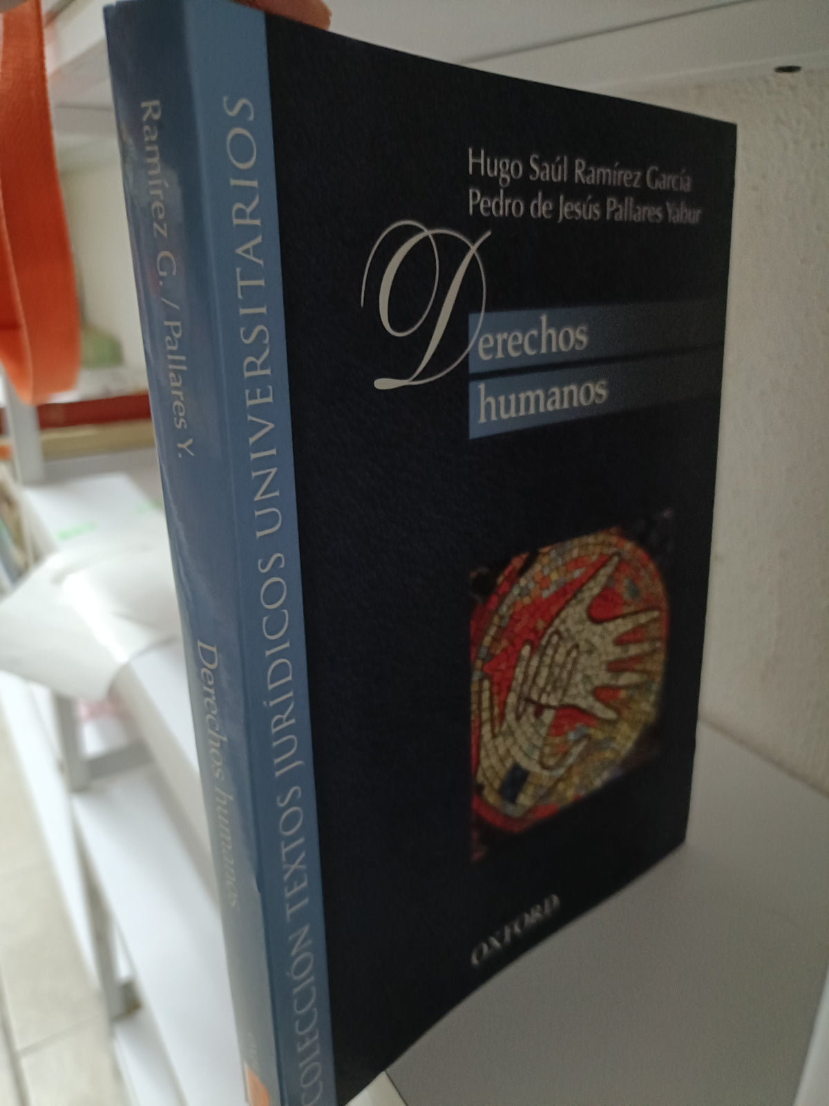 DERECHOS HUMANOS POR HUGO SAUL RAMIR Z USADO DERECHO JUAREZ 515