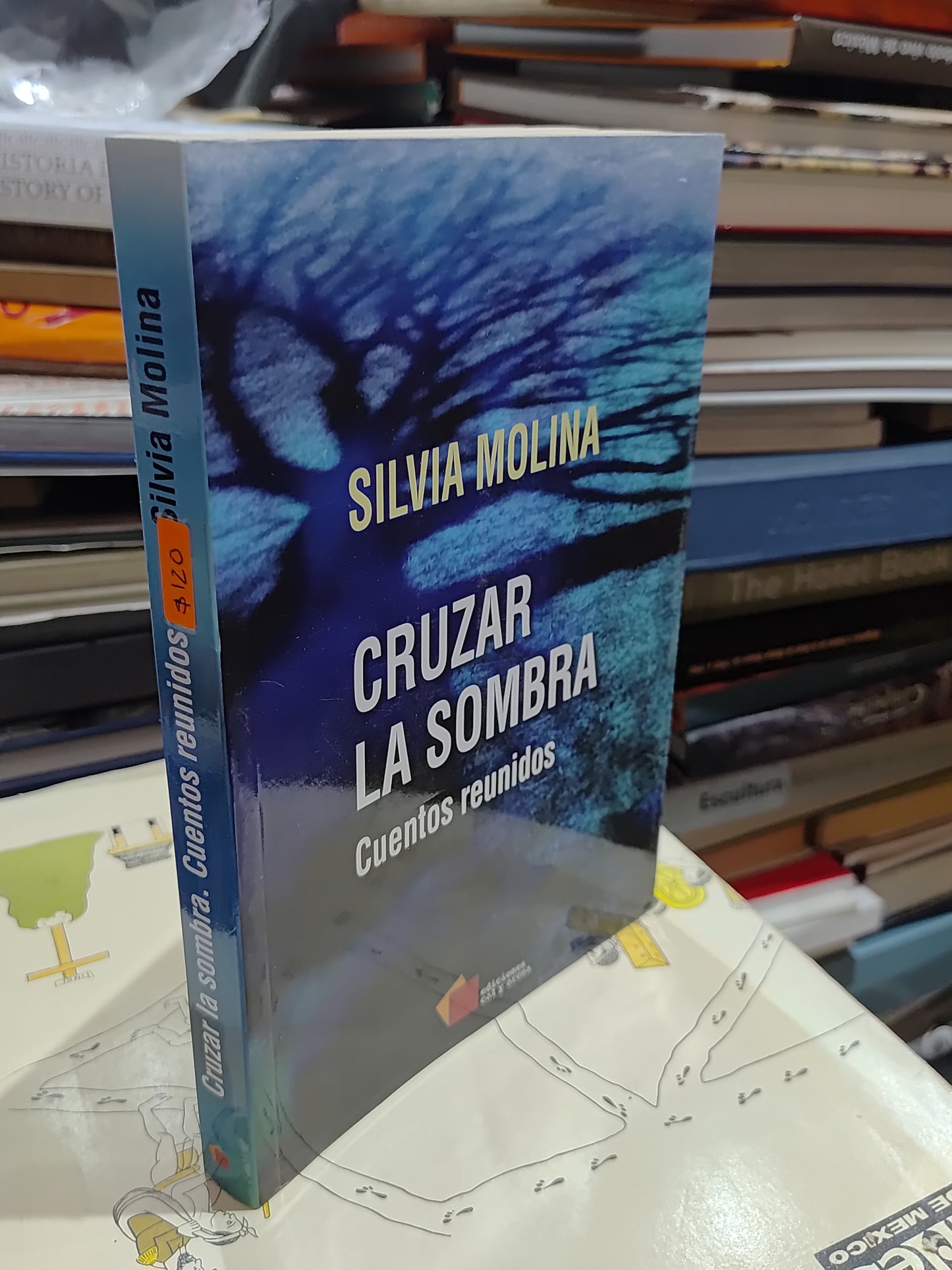 CRUZAR LA SOMBRA POR SILVIA MOLINA USADO NOVELAS JUAREZ 515
