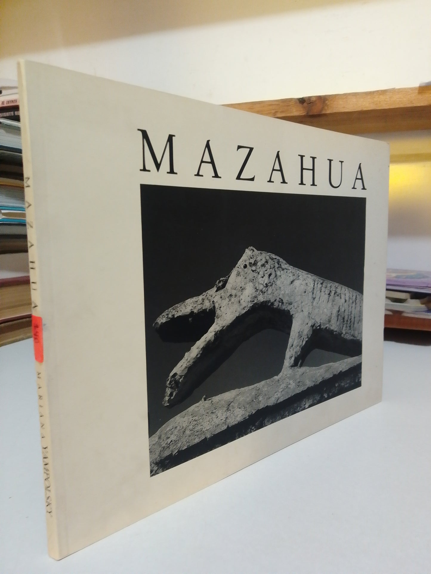 MAZAHUA POR MARIANA YAMPOLSKY USADO ARTE JUAREZ