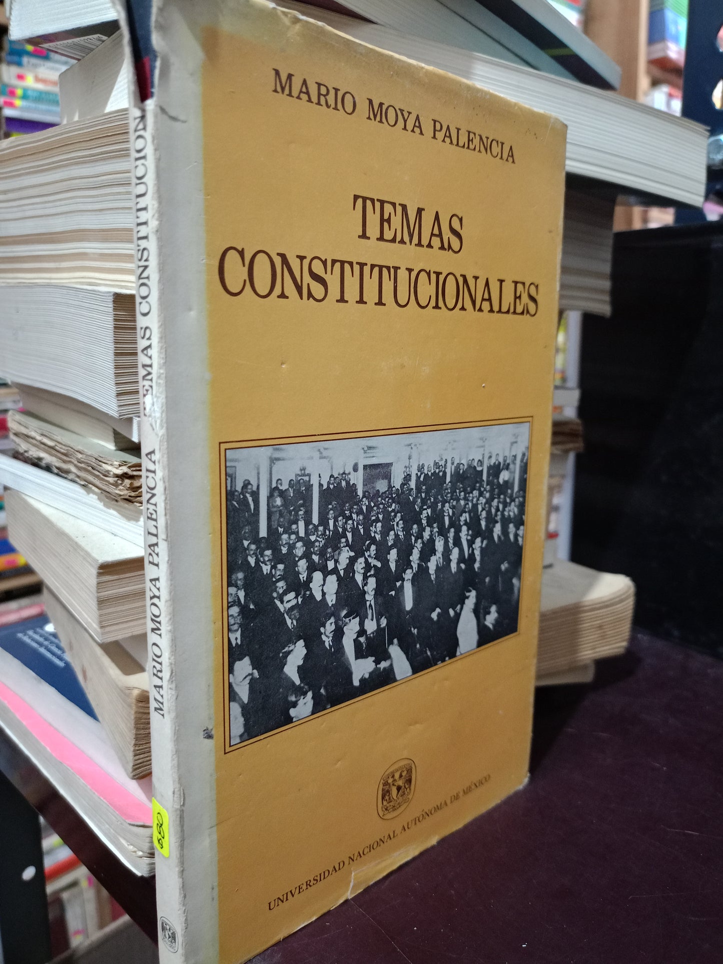 TEMAS CONSTITUCIONALES POR MARIO MOYA PALENCIA USADO DERECHO LITERARIO 305
