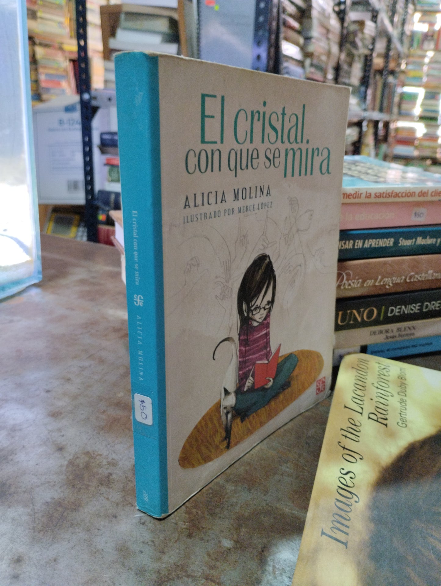 EL CRISTAL CON QUE SE MIRA POR ALICIA MOLINA USADO INFANTIL ALDAMA