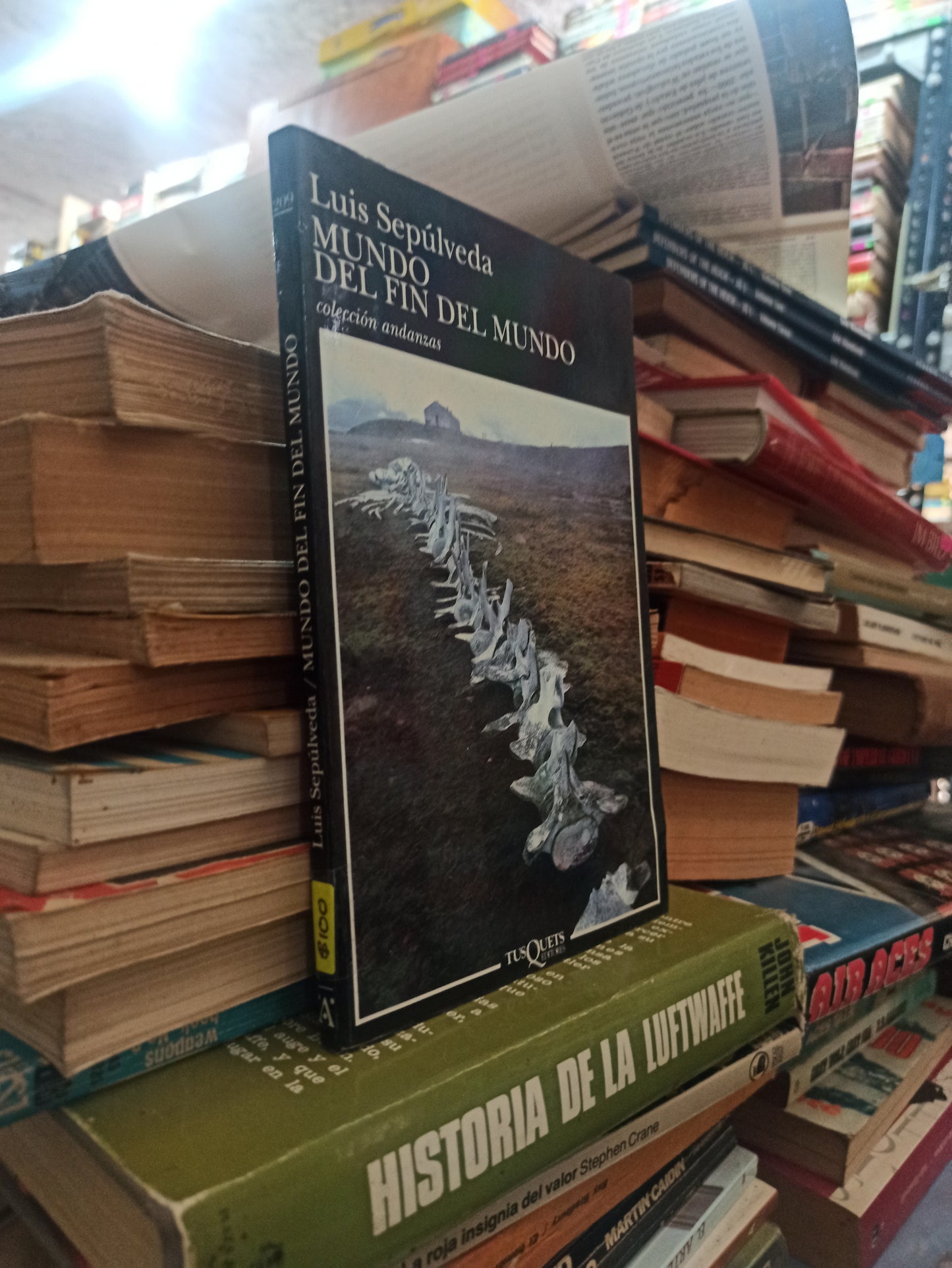 MUNDO DEL FIN DEL MUNDO POR LUIS SEPÚLVEDA USADO NOVELAS ALDAMA