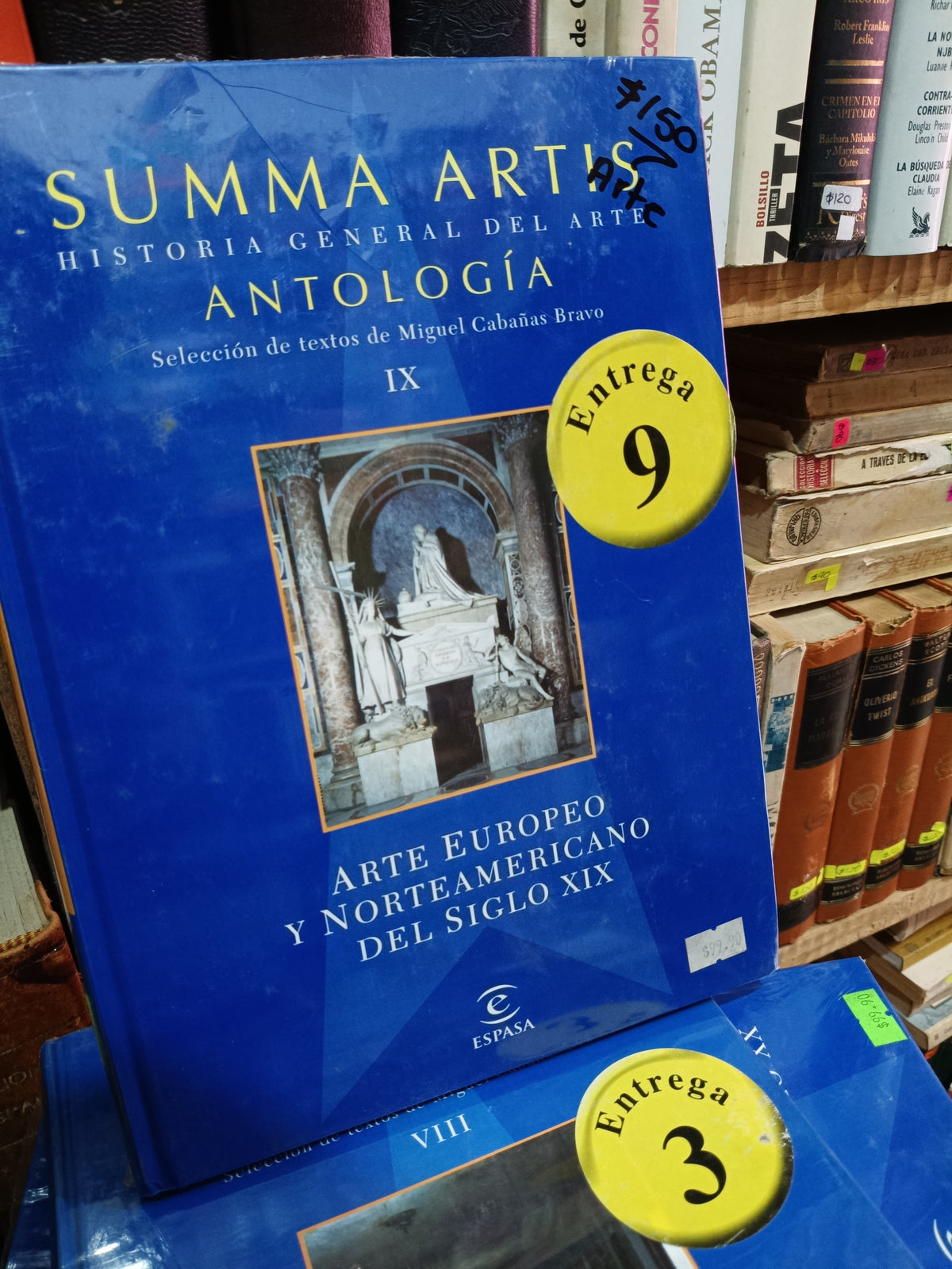 ARTE EUROPEO Y NORTEAMERICANO DEL SIGLO XIX SUMMA ARTIS ANTOLOGIA USADO ARTE LITERARIO 305