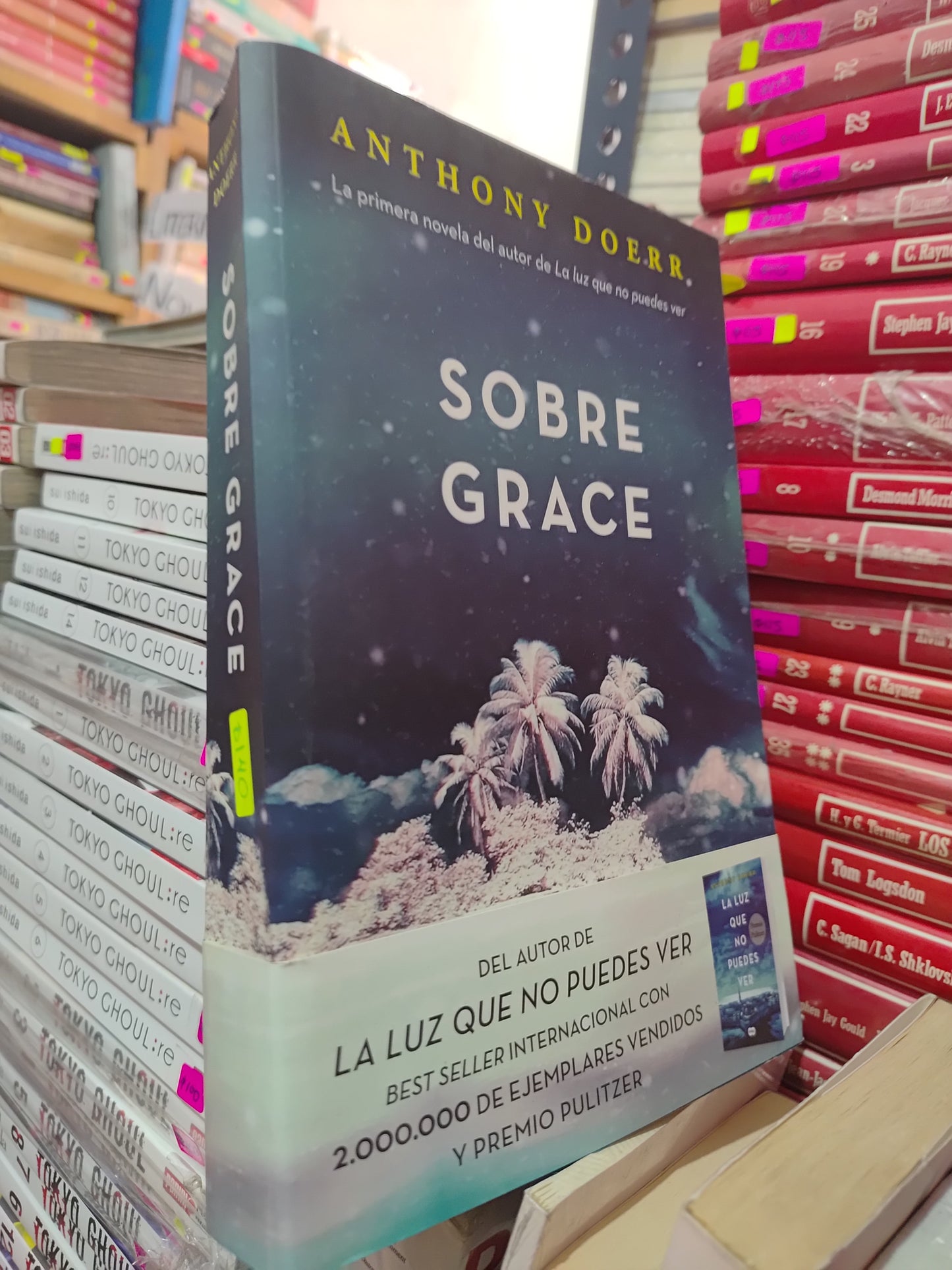 SOBRE GRACE POR ANTHONY DOERR USADO NOVELAS LITERARIO 305