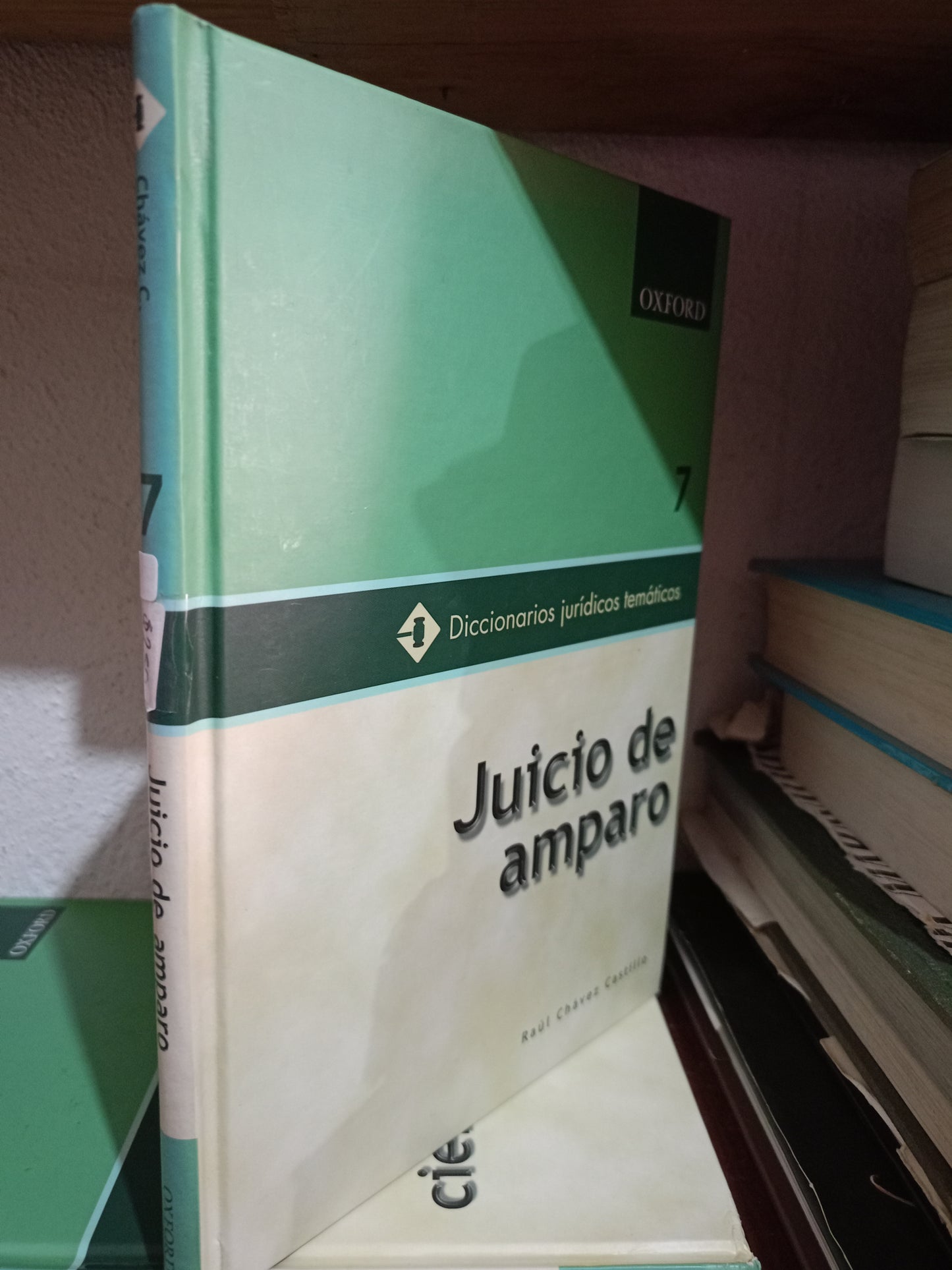 JUICIO DE AMPARO POR RAUL CHÁVEZ CASTILLO USADO DERECHO LITERARIO 305