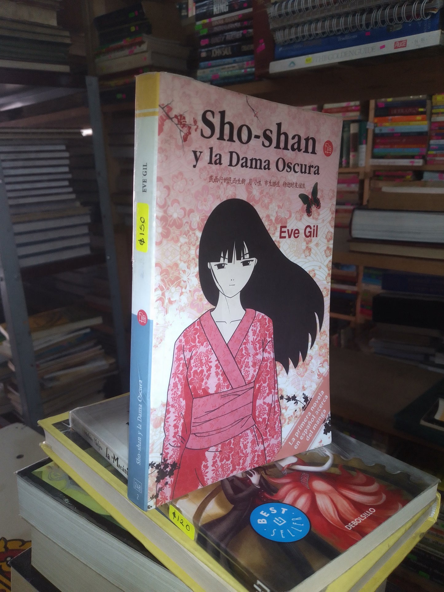 SHO SHAN Y LA DAMA OSCURA POR EVE GIL USADO NOVELA LITERARIO 207