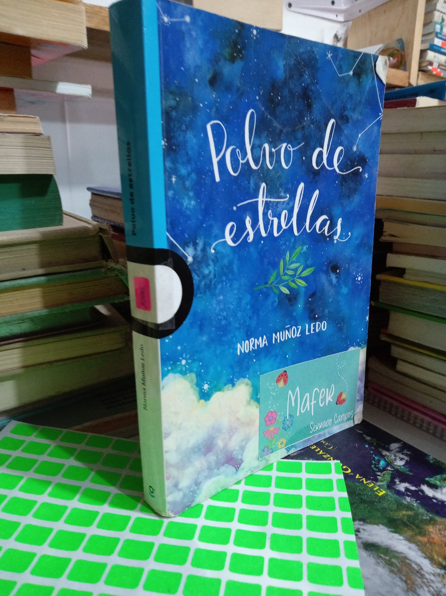 POLVO DE ESTRELLAS POR NORMA MUÑOZ LEDO USADO INFANTIL JUAREZ