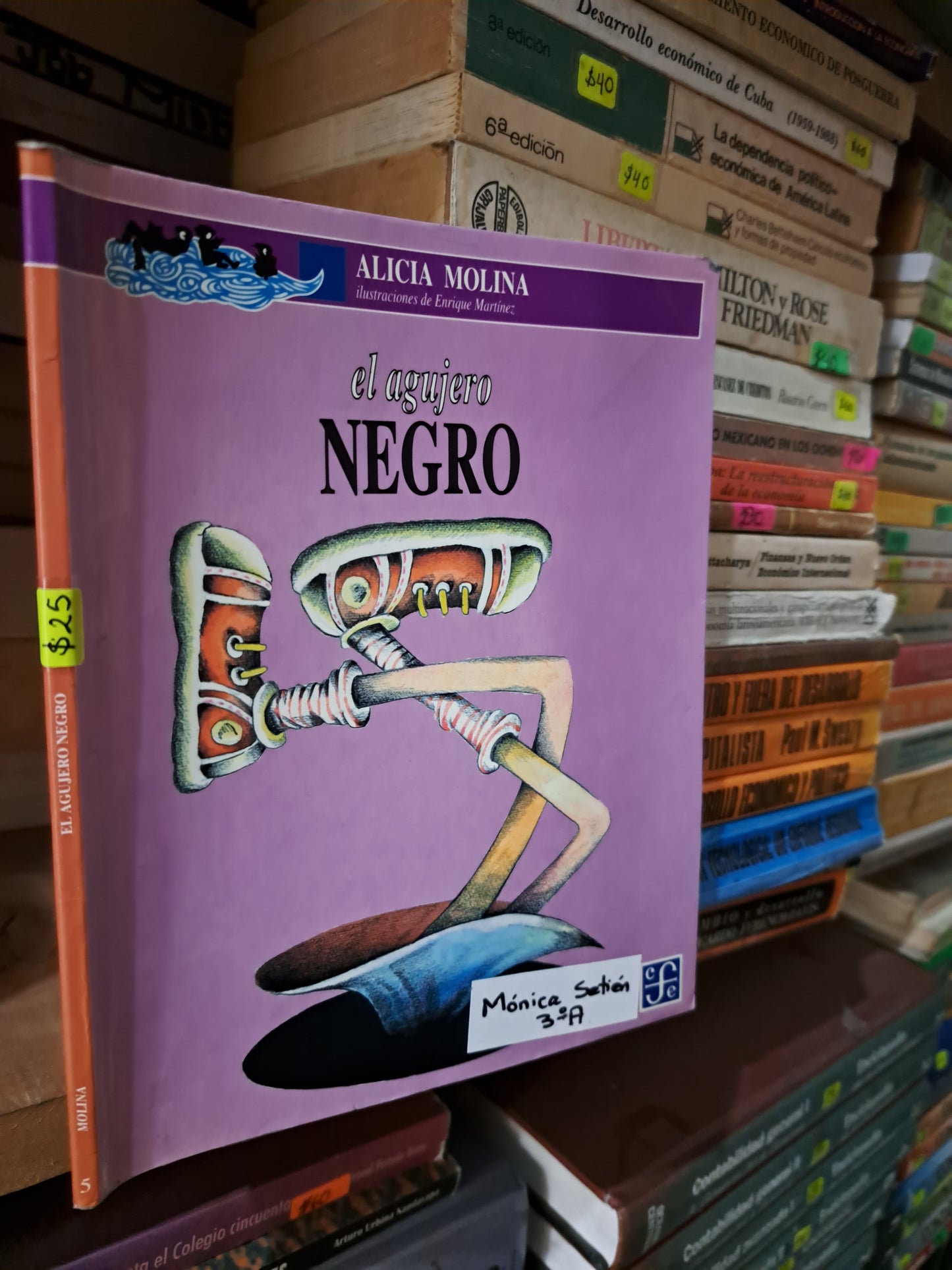 EL AGUJERO NEGRO ALICIA MOLINA USADO INFANTIL LITERARIO 207
