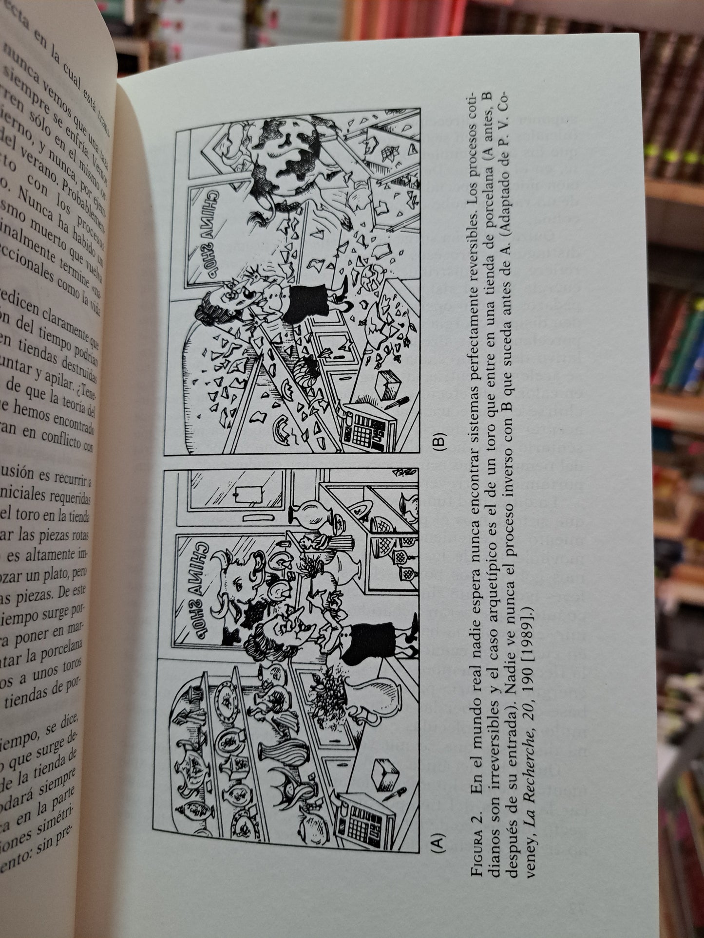 LA FLECHA DEL TIEMPO I PETER CONVENEY Y ROGER HIGHFIELD USADO NOVELA LITERARIO 305